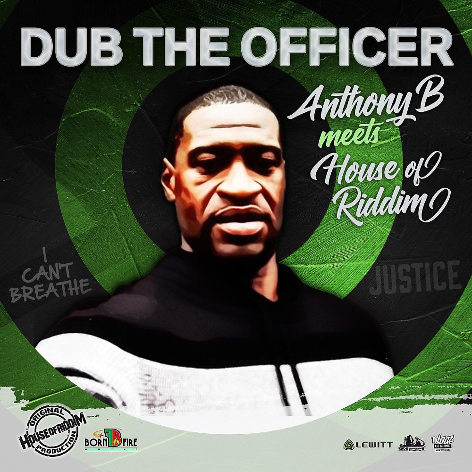 Постер альбома Dub the Officer