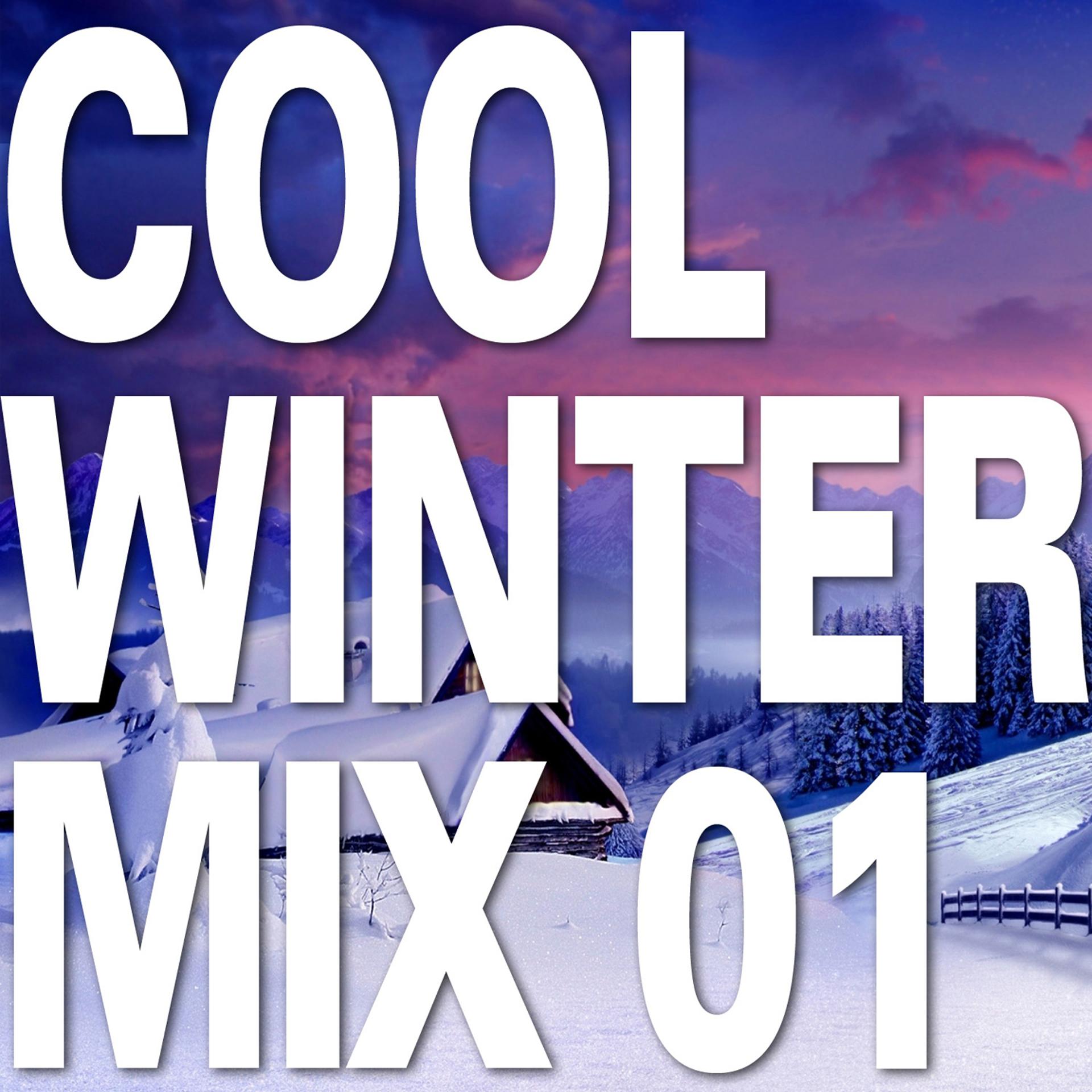 Постер альбома Cool Winter Mix 01