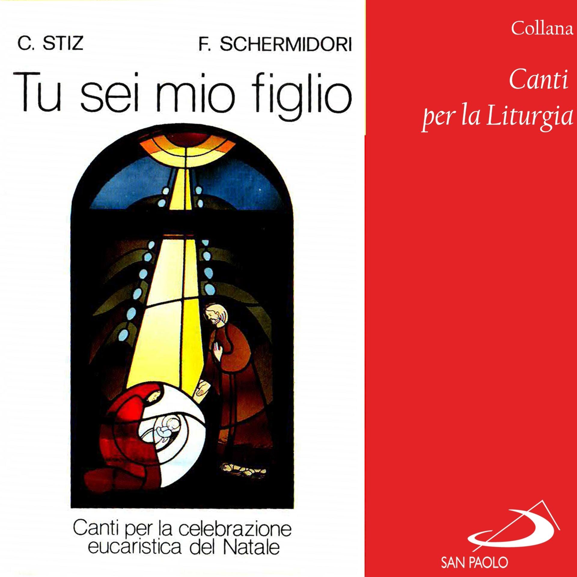 Постер альбома Collana canti per la liturgia: Tu sei mio figlio
