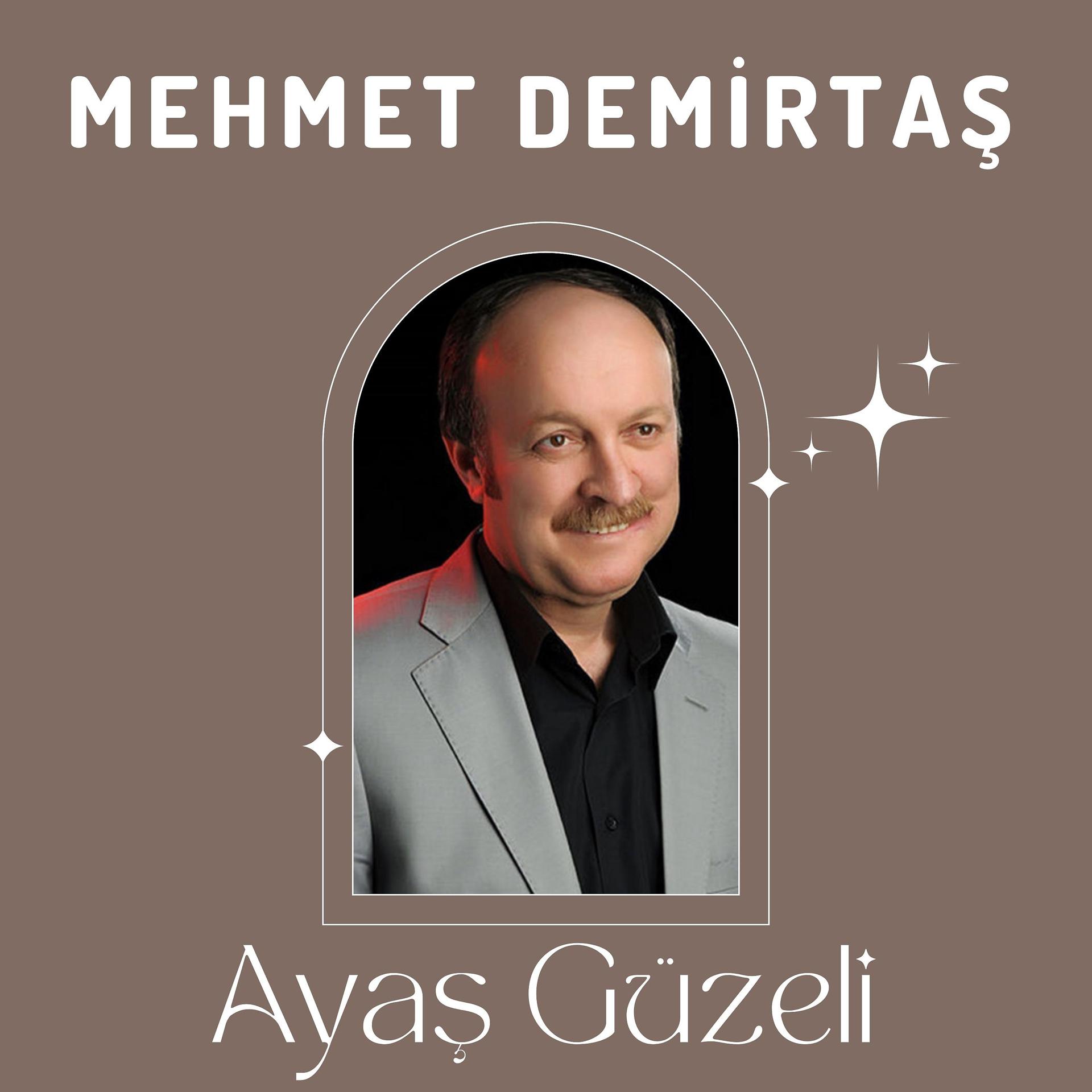 Постер альбома Ayaş Güzeli