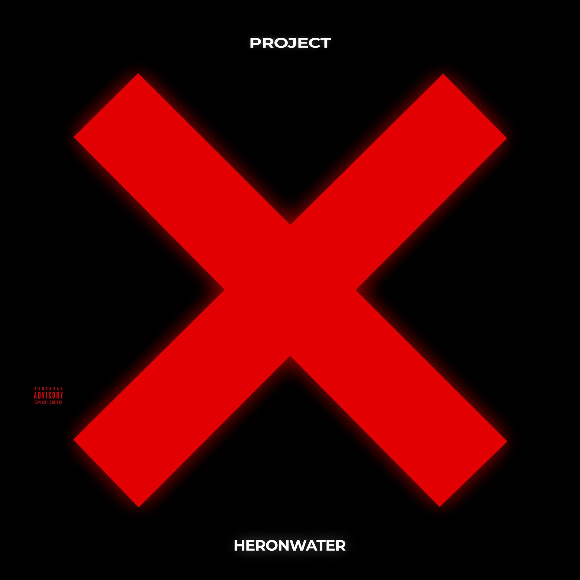 Постер альбома PROJECT X
