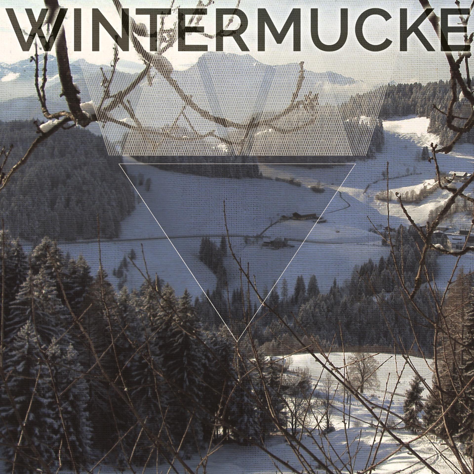 Постер альбома Wintermucke, Vol. 1