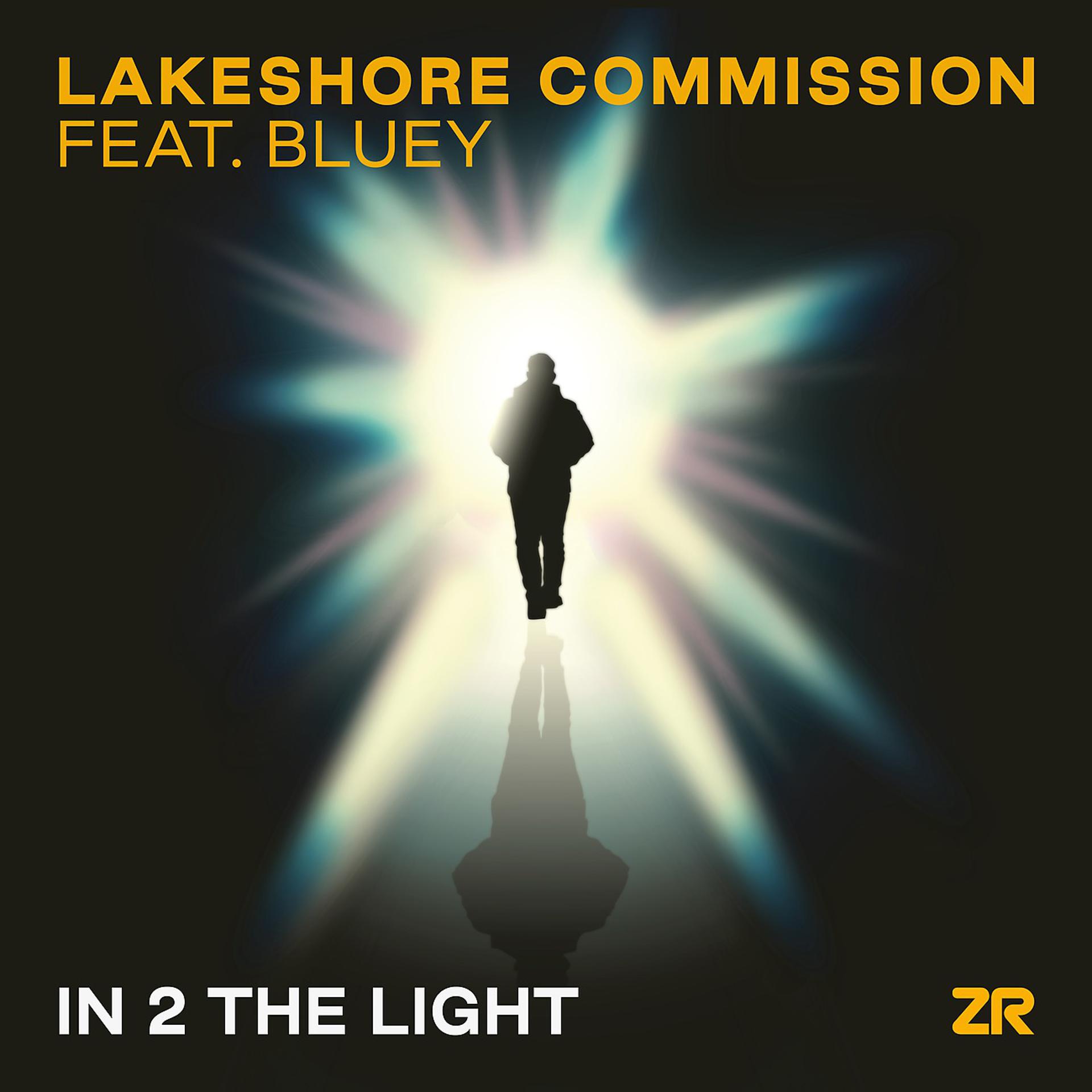 Постер альбома In 2 The Light