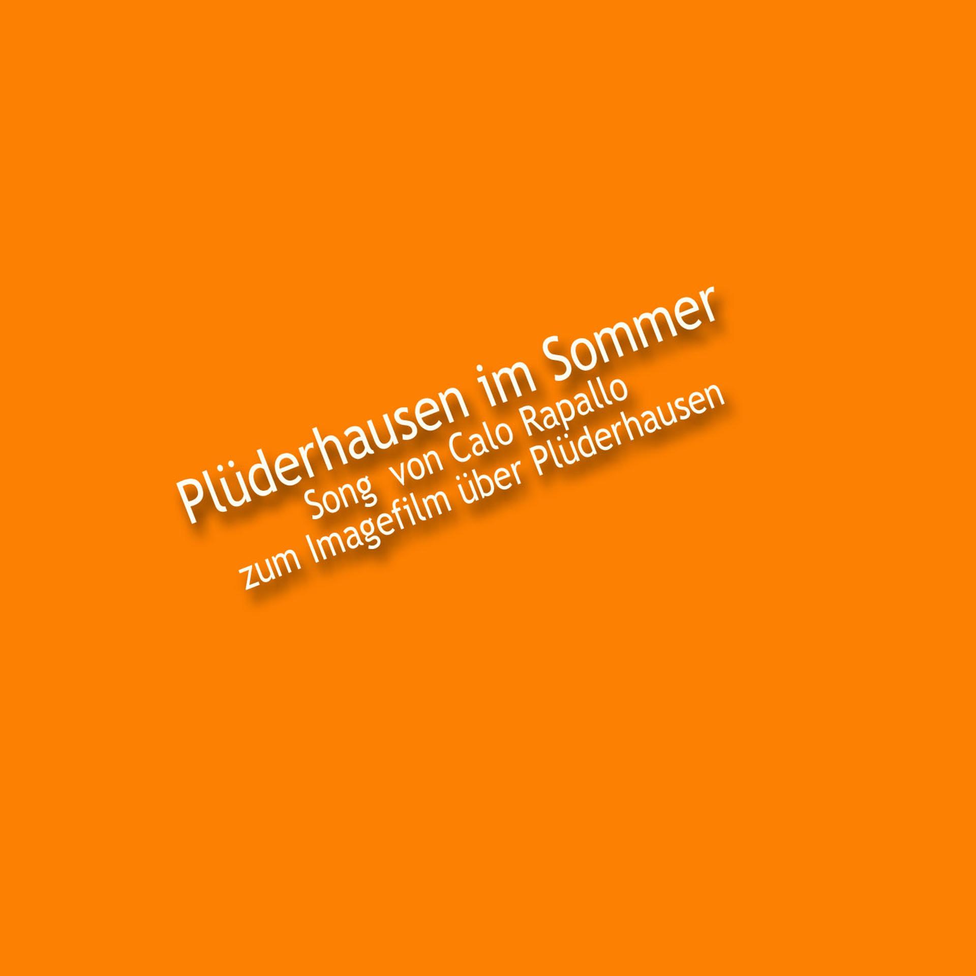 Постер альбома Plüderhausen im Sommer