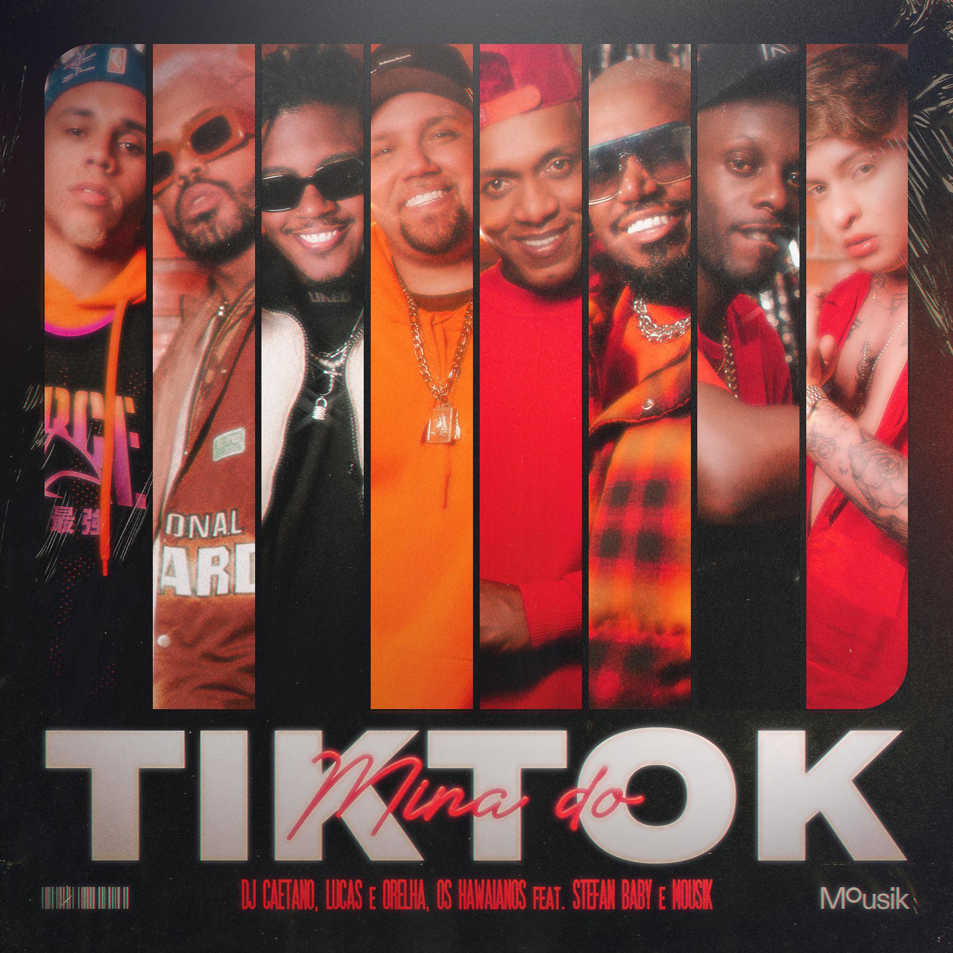 Постер альбома Mina do Tiktok
