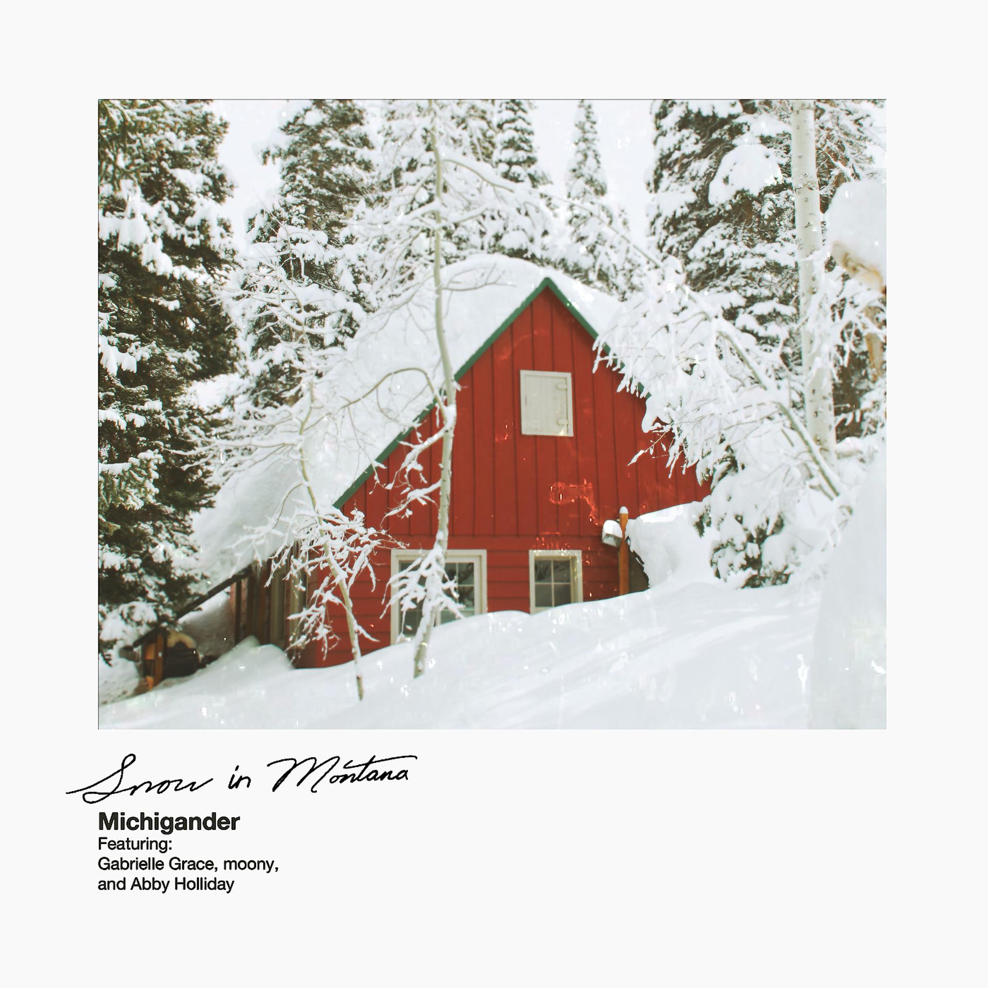 Постер альбома Snow in Montana