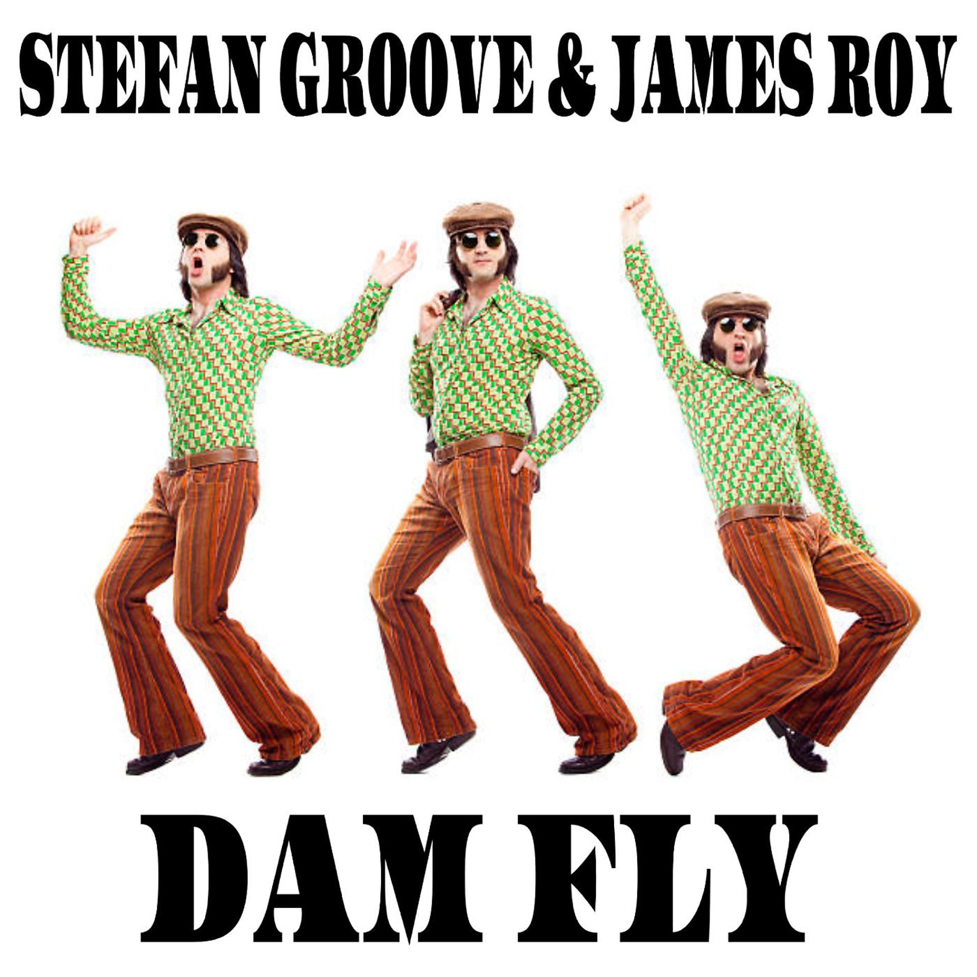 Постер альбома Dam Fly