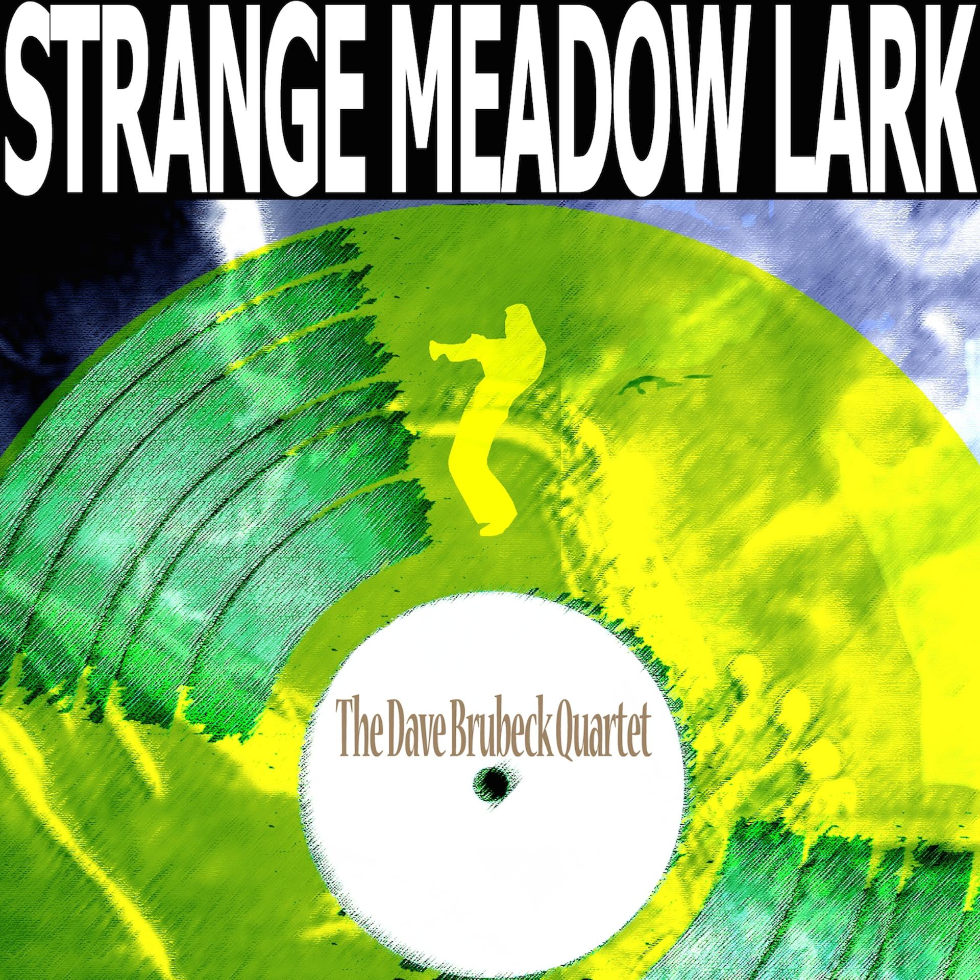 Постер альбома Strange Meadow Lark