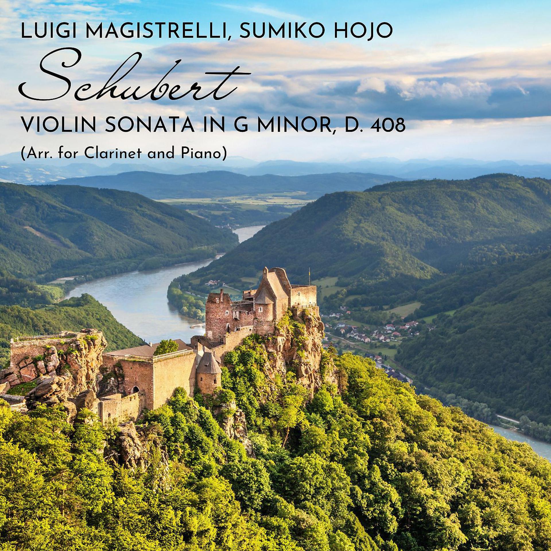 Постер альбома Violin Sonata in G Minor, D. 408