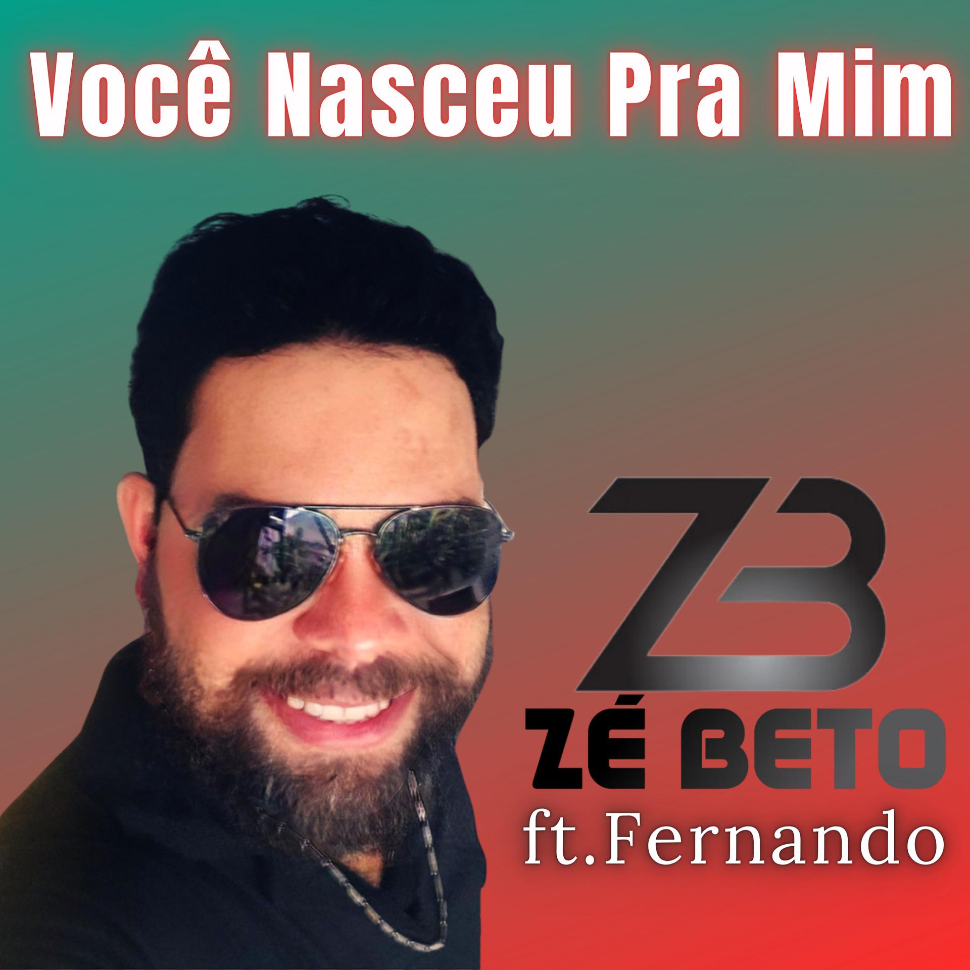 Постер альбома Você Nasceu pra Mim