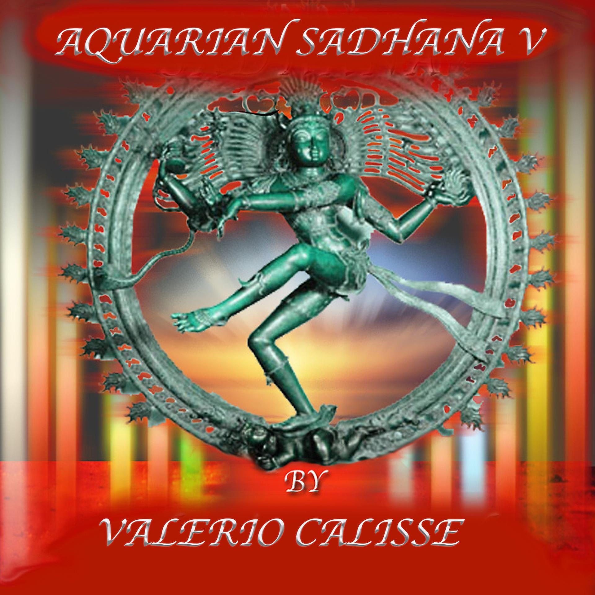 Постер альбома Aquarian Sadhana V