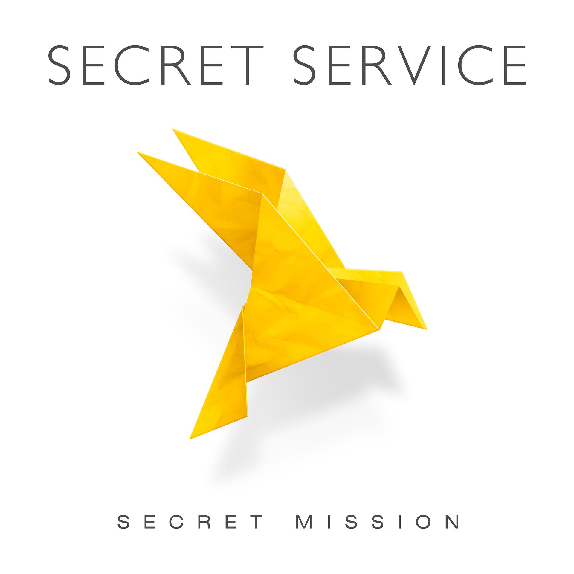 Постер альбома Secret Mission