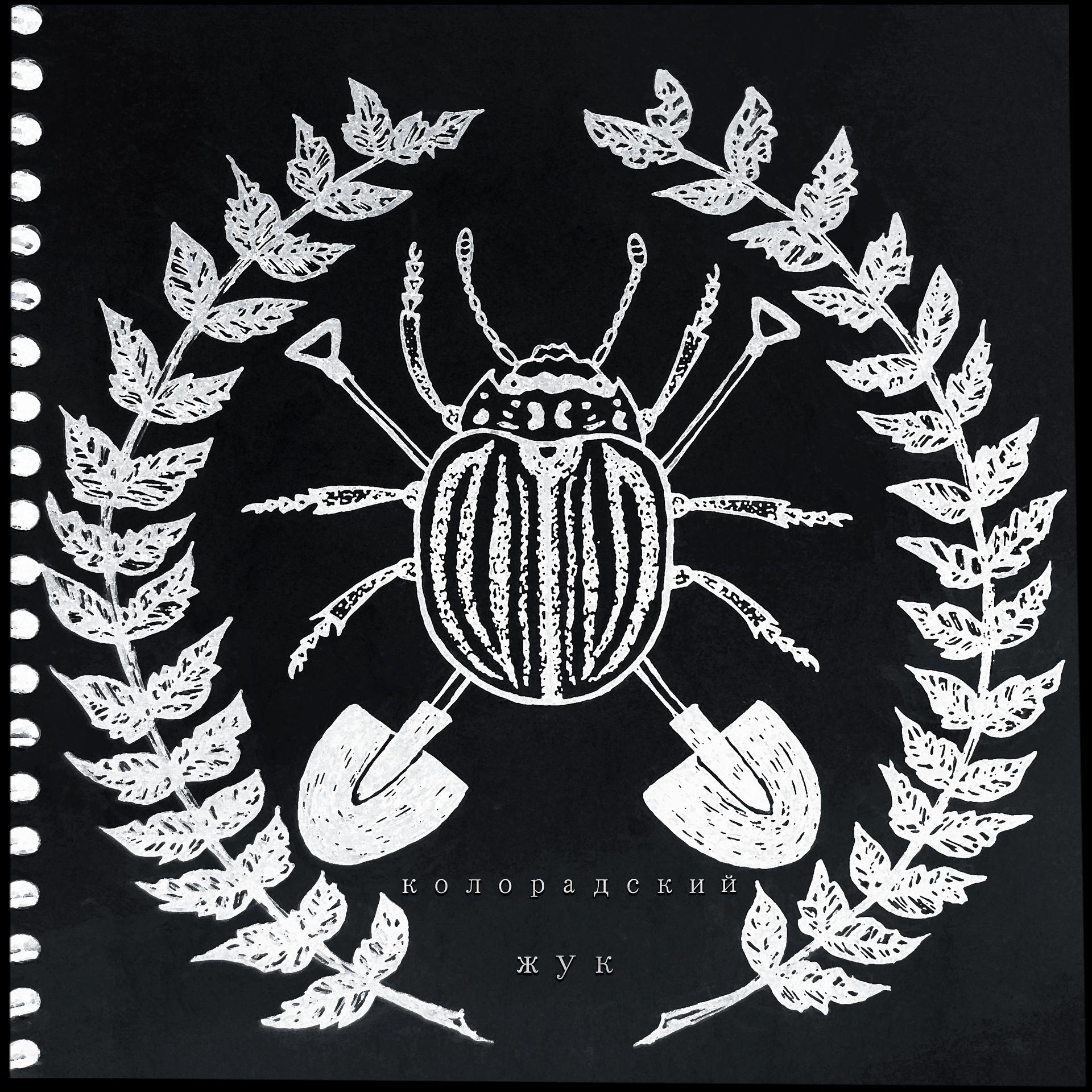 Постер альбома Колорадский жук
