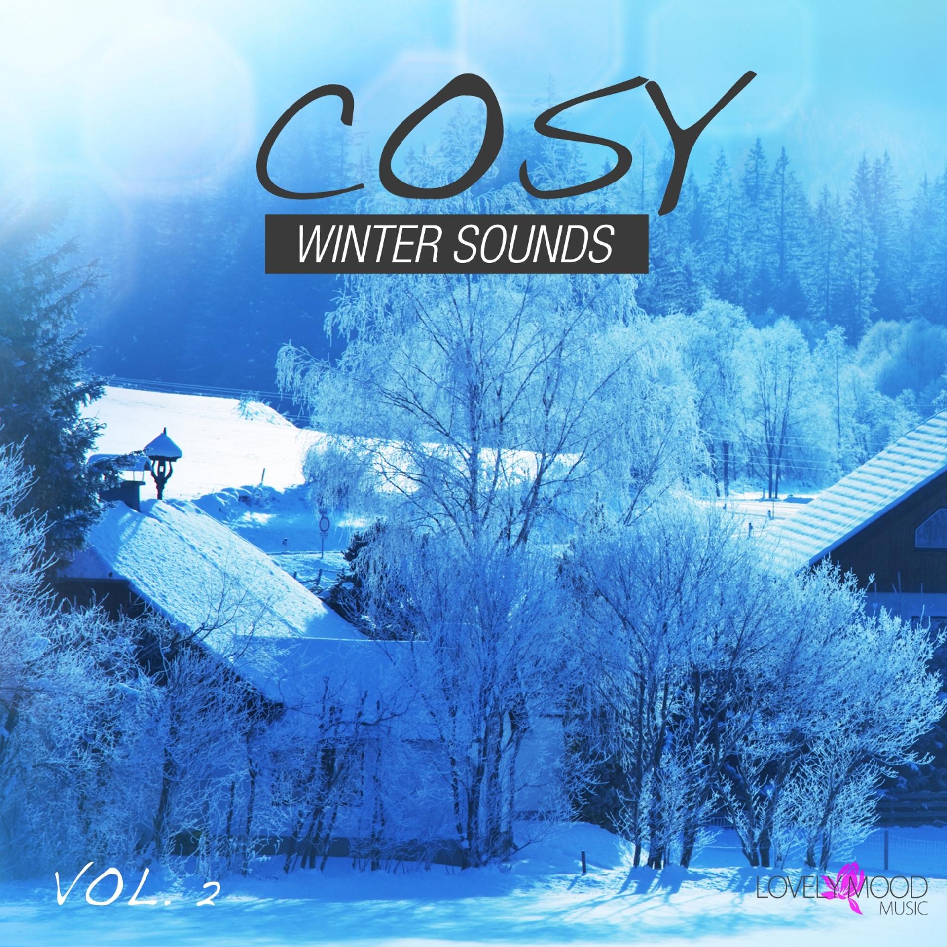 Постер альбома Cosy Winter Sounds, Vol. 2