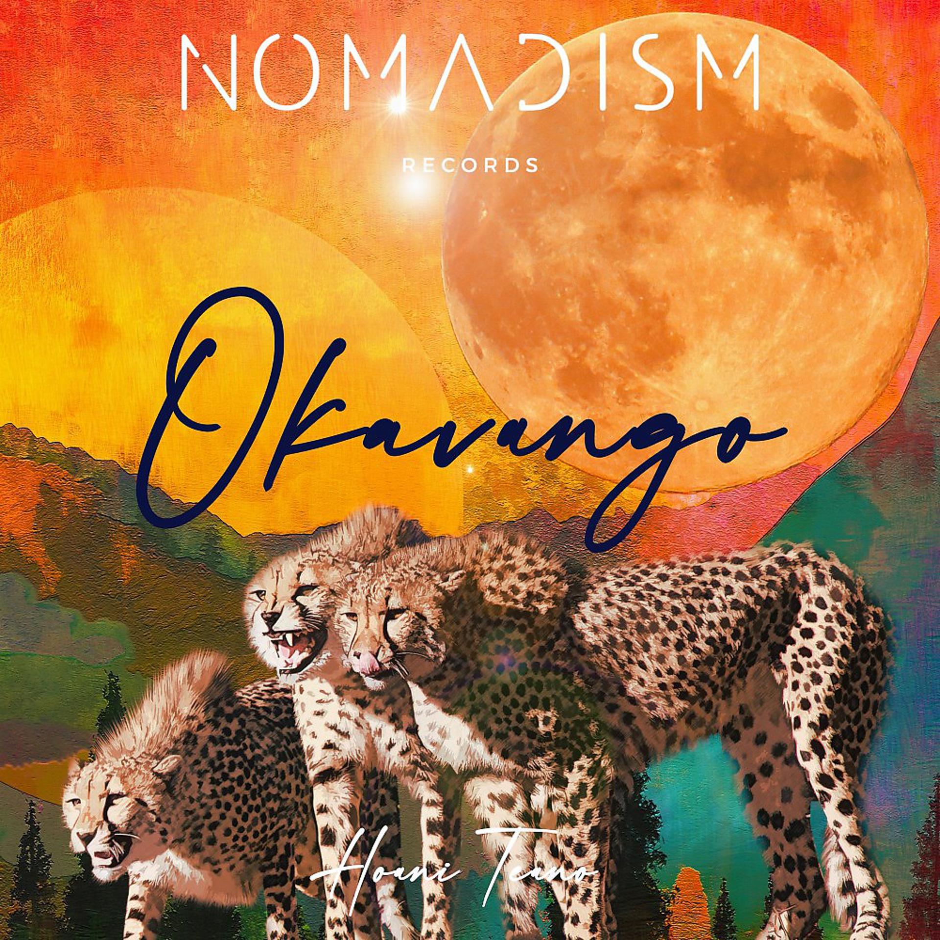 Постер альбома Okavango