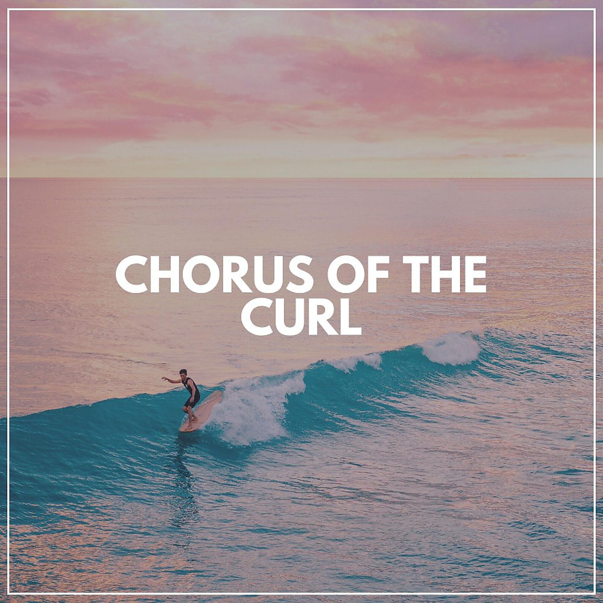 Постер альбома Chorus of the Curl