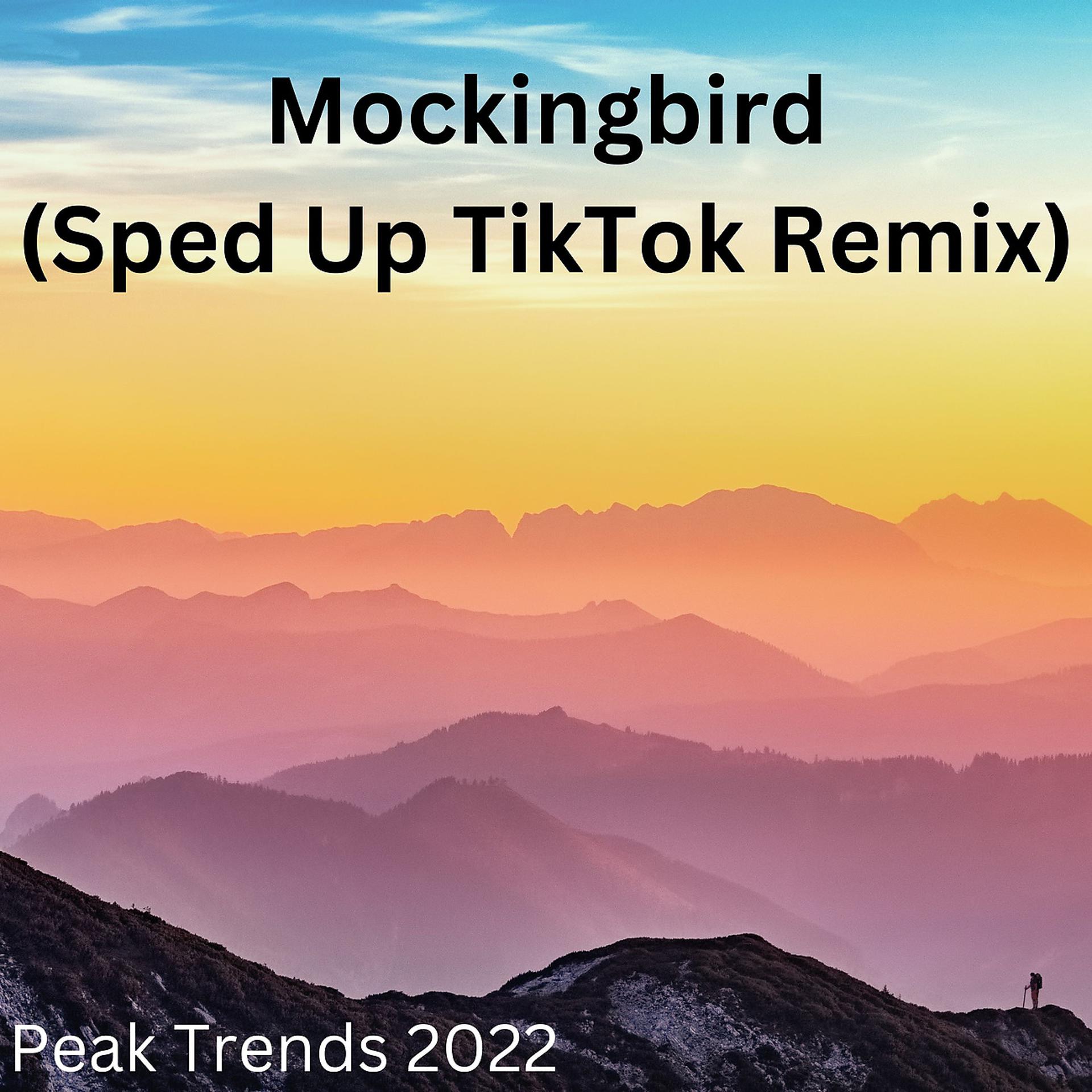 Постер альбома Mockingbird (Sped Up TikTok Remix)
