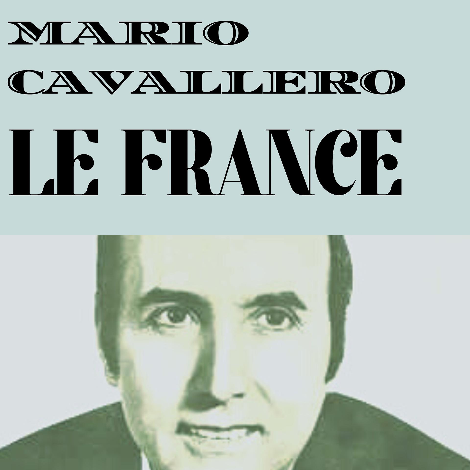 Постер альбома Le France