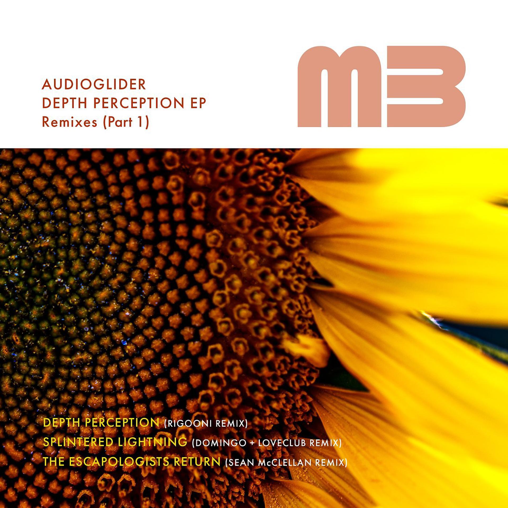 Постер альбома Depth Perception EP (The Remixes, Pt. 1)