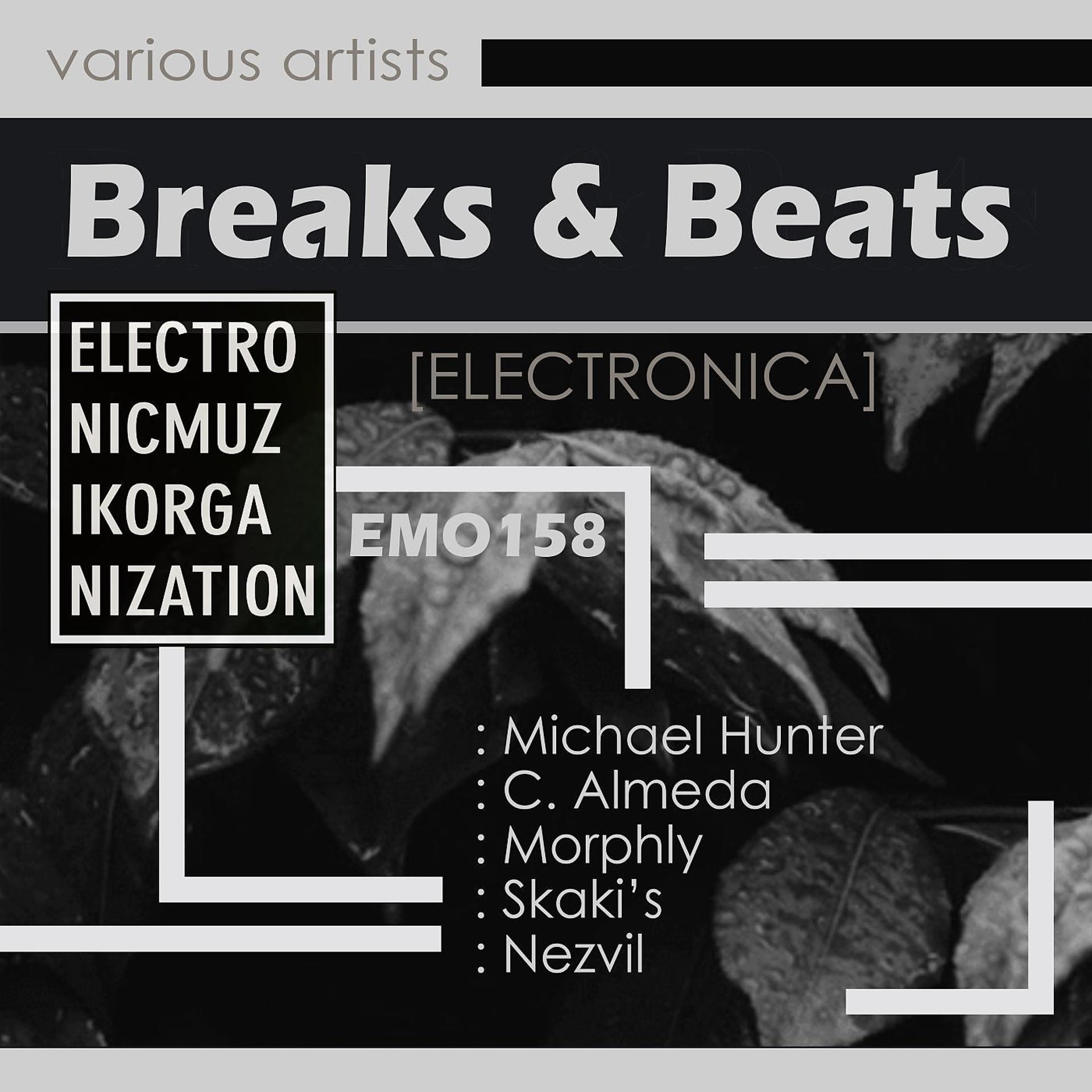 Постер альбома Breaks & Beats [Electronica]