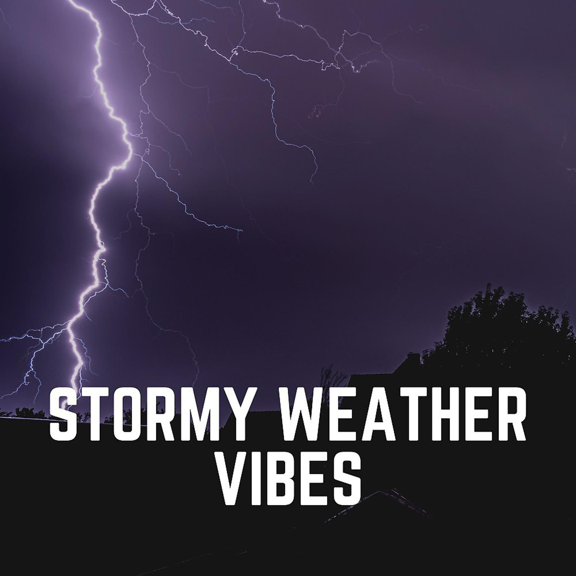 Постер альбома Stormy Weather Vibes