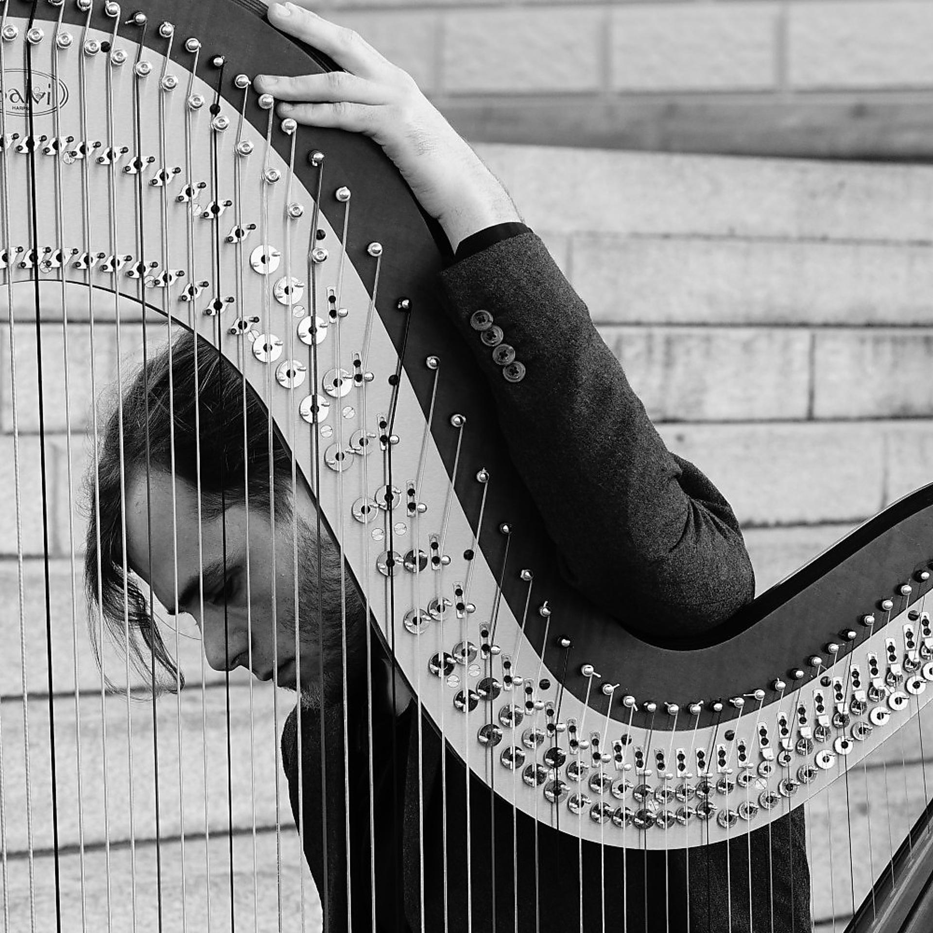 Постер альбома The Harp as an Orchestra
