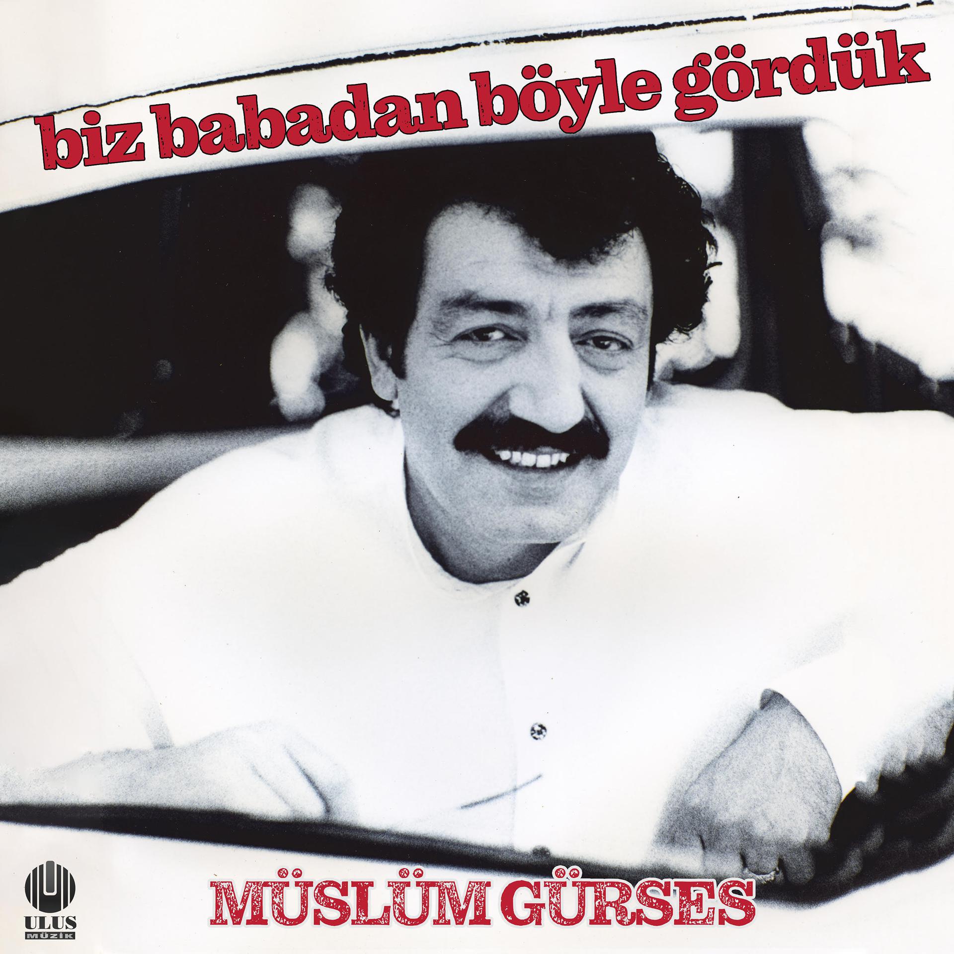 Постер альбома Biz Babadan Böyle Gördük