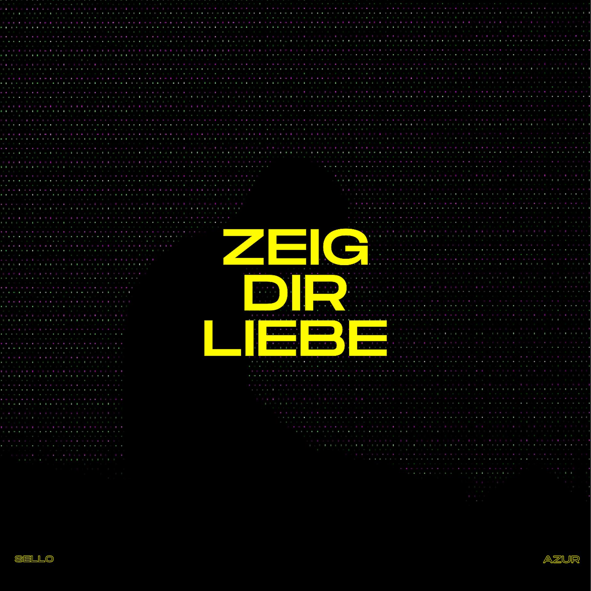 Постер альбома Zeig Dir Liebe