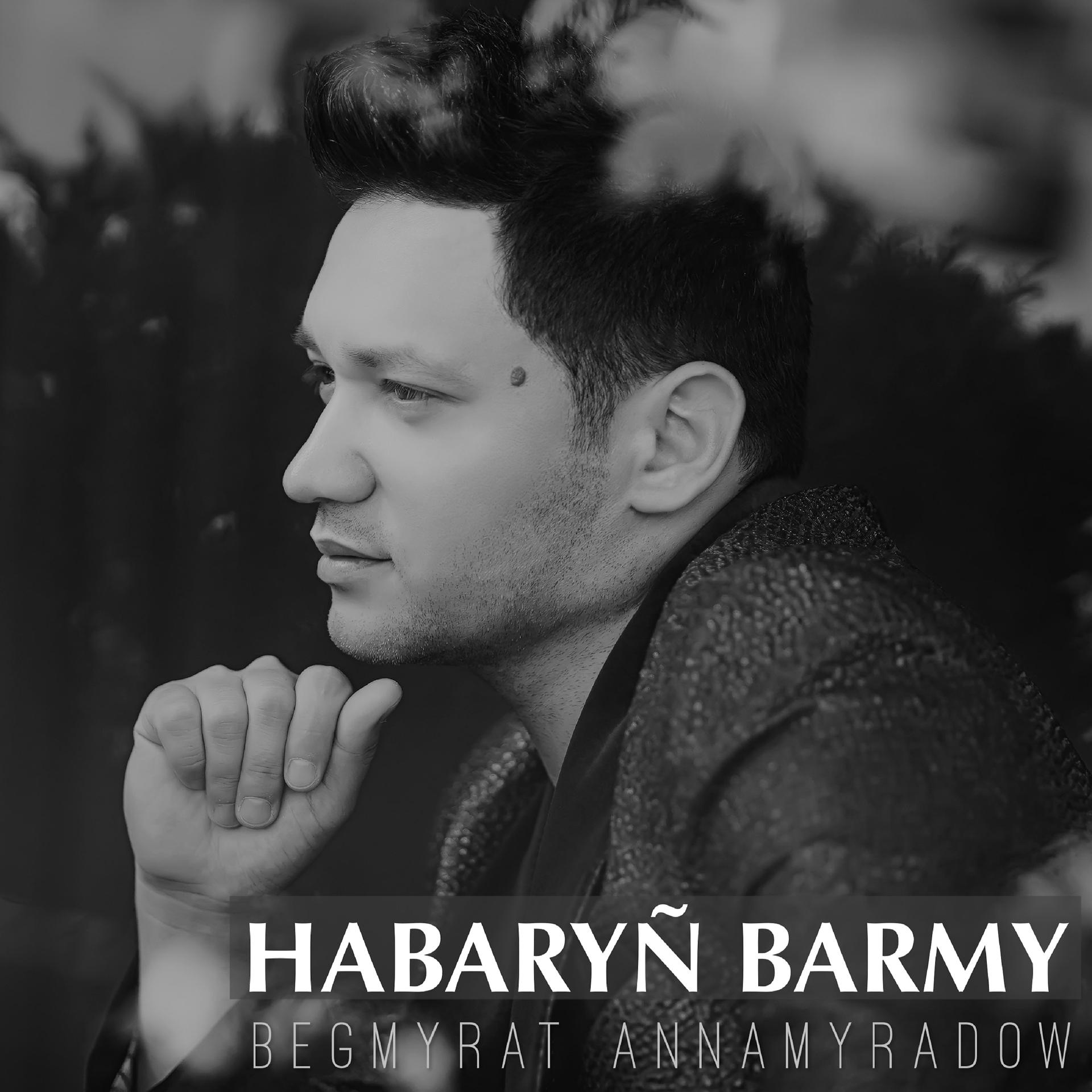 Постер альбома Habaryň barmy