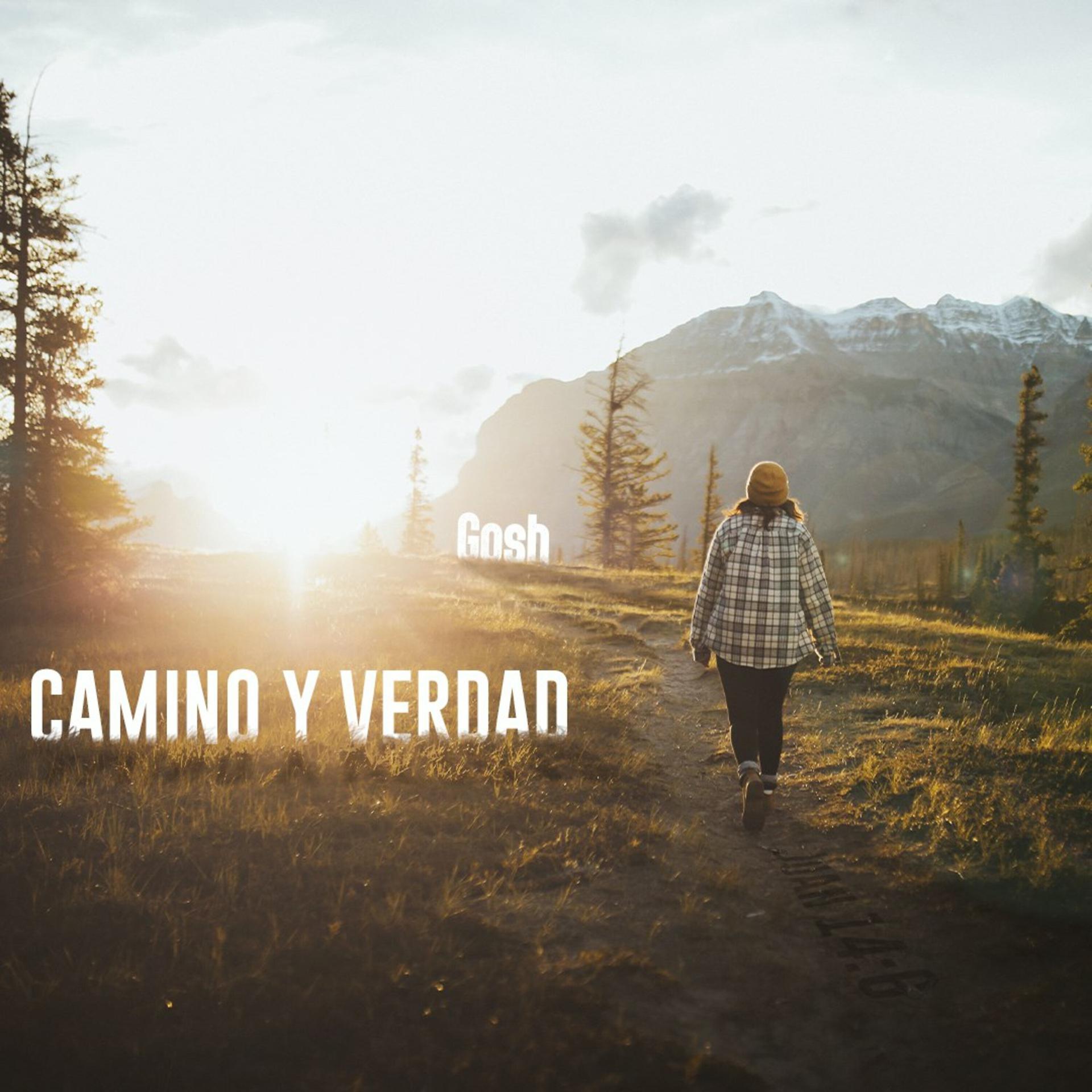 Постер альбома Camino y Verdad