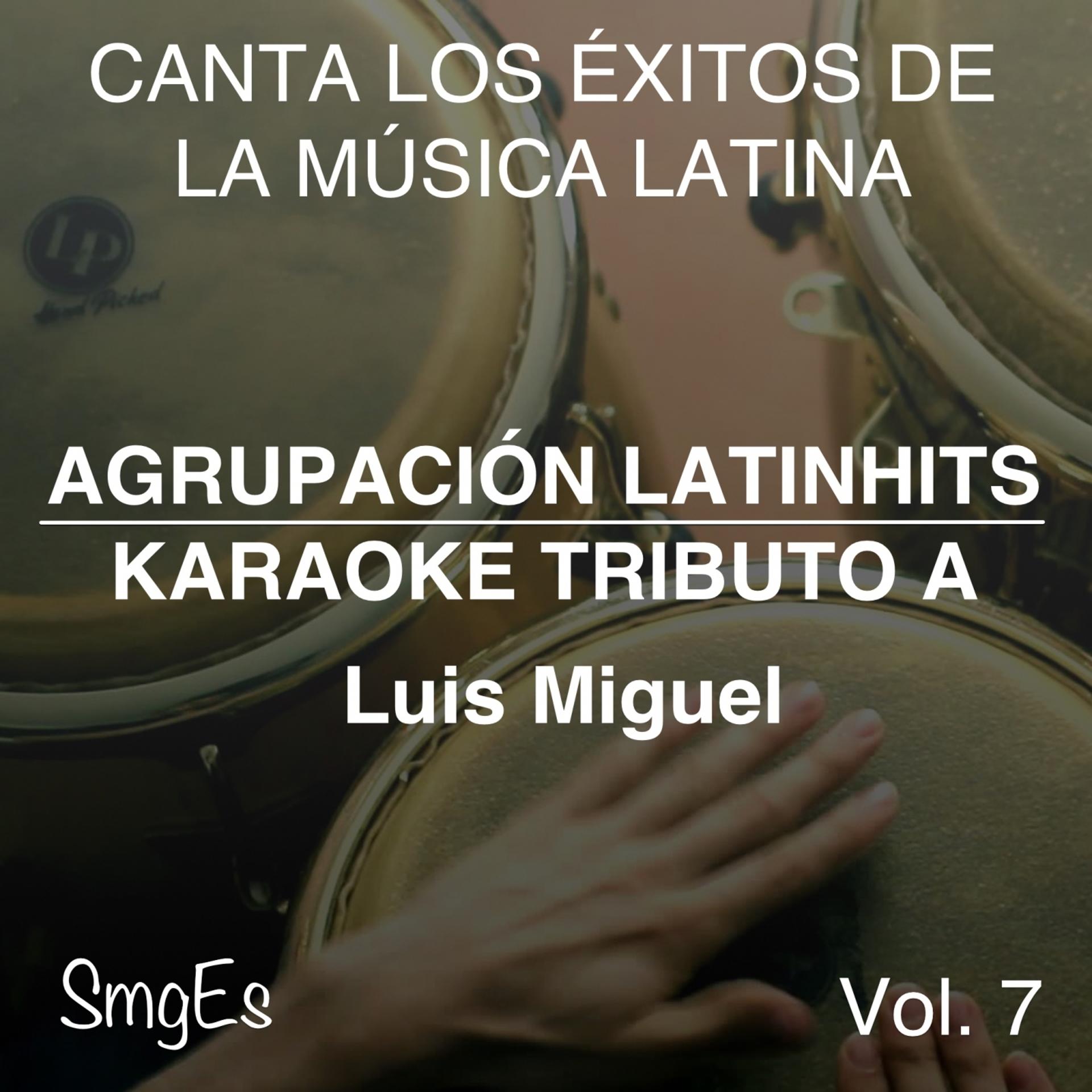 Постер альбома Instrumental Karaoke Series: Luis Miguel, Vol. 7