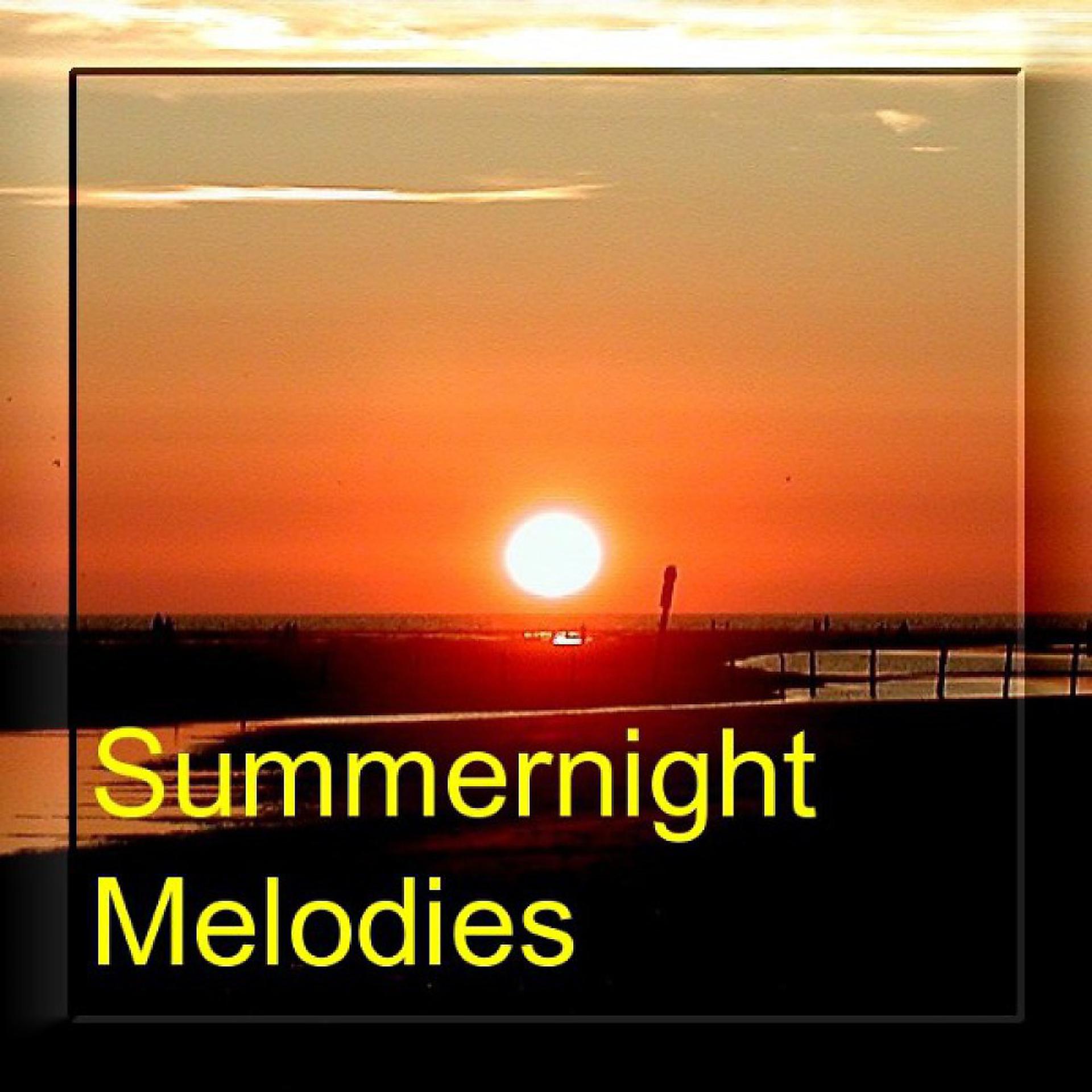 Постер альбома Summernight Melodies - Instrumentals