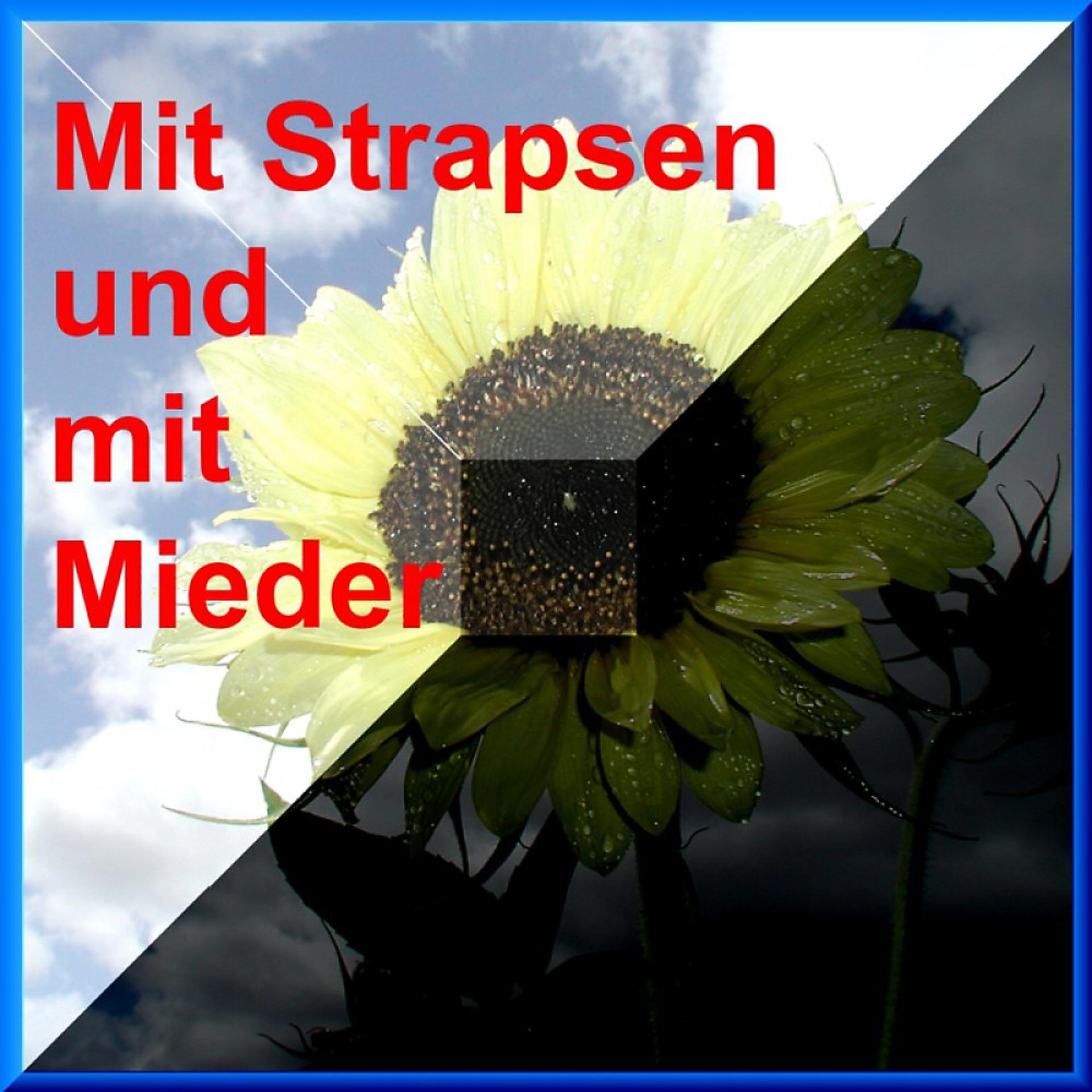 Постер альбома Mit Strapsen Und Mit Mieder