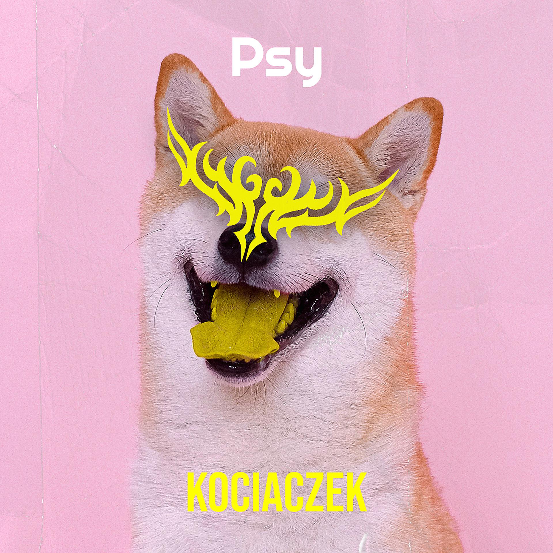 Постер альбома Psy