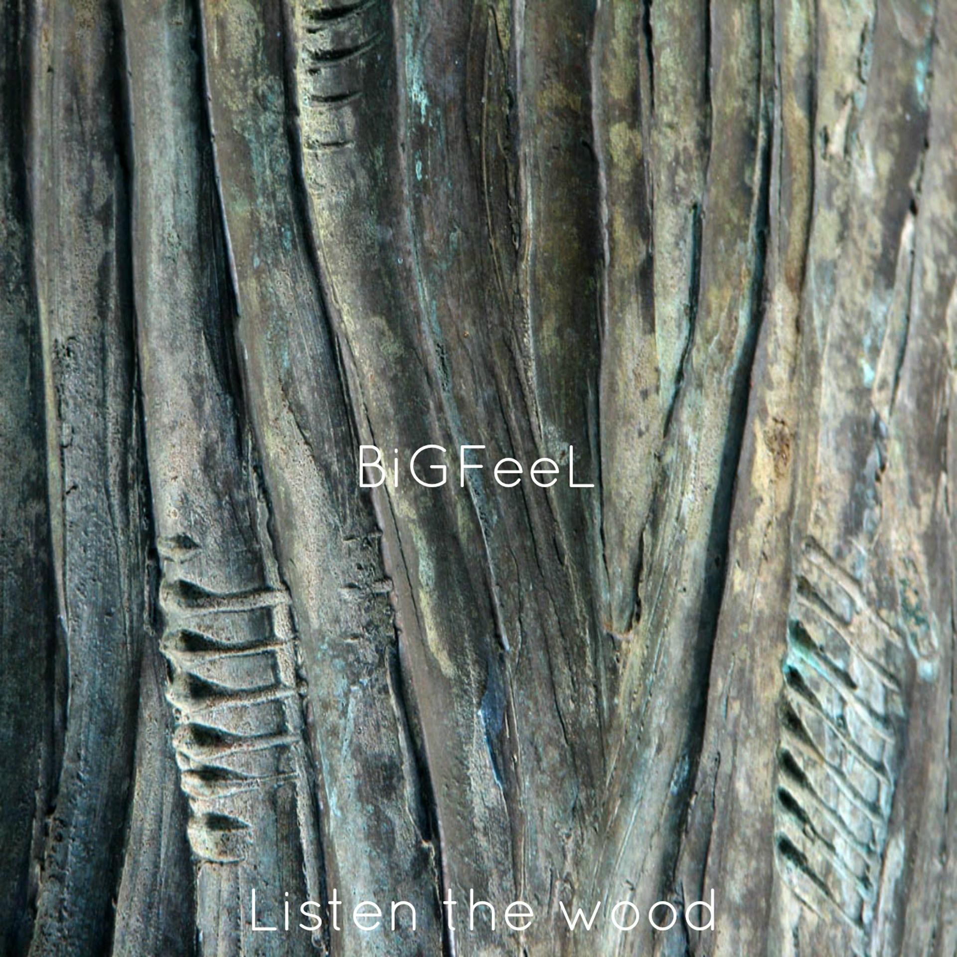 Постер альбома Ambient Music: Listen the Wood
