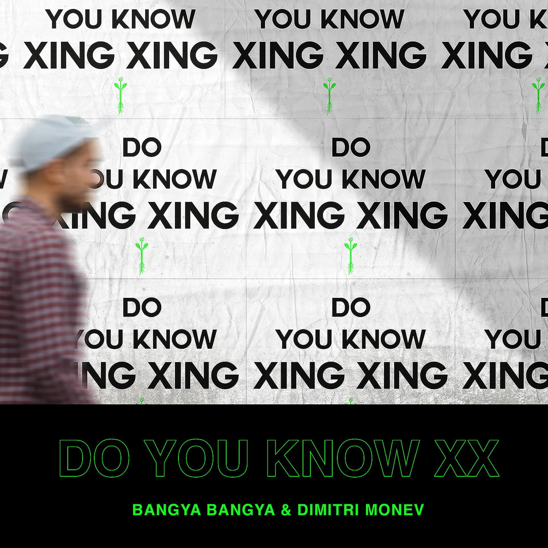 Постер альбома Do You Know XX