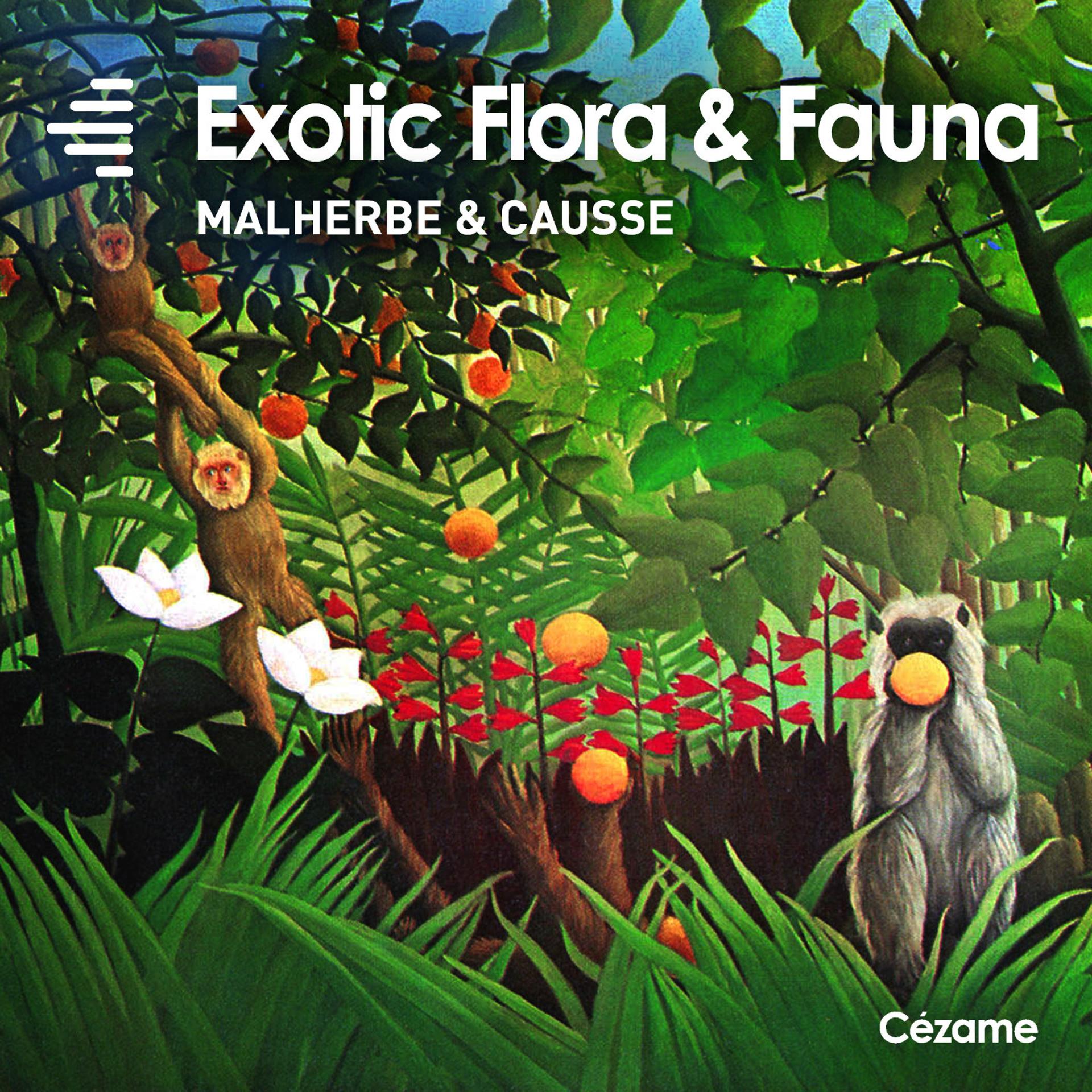 Постер альбома Exotic Flora & Fauna
