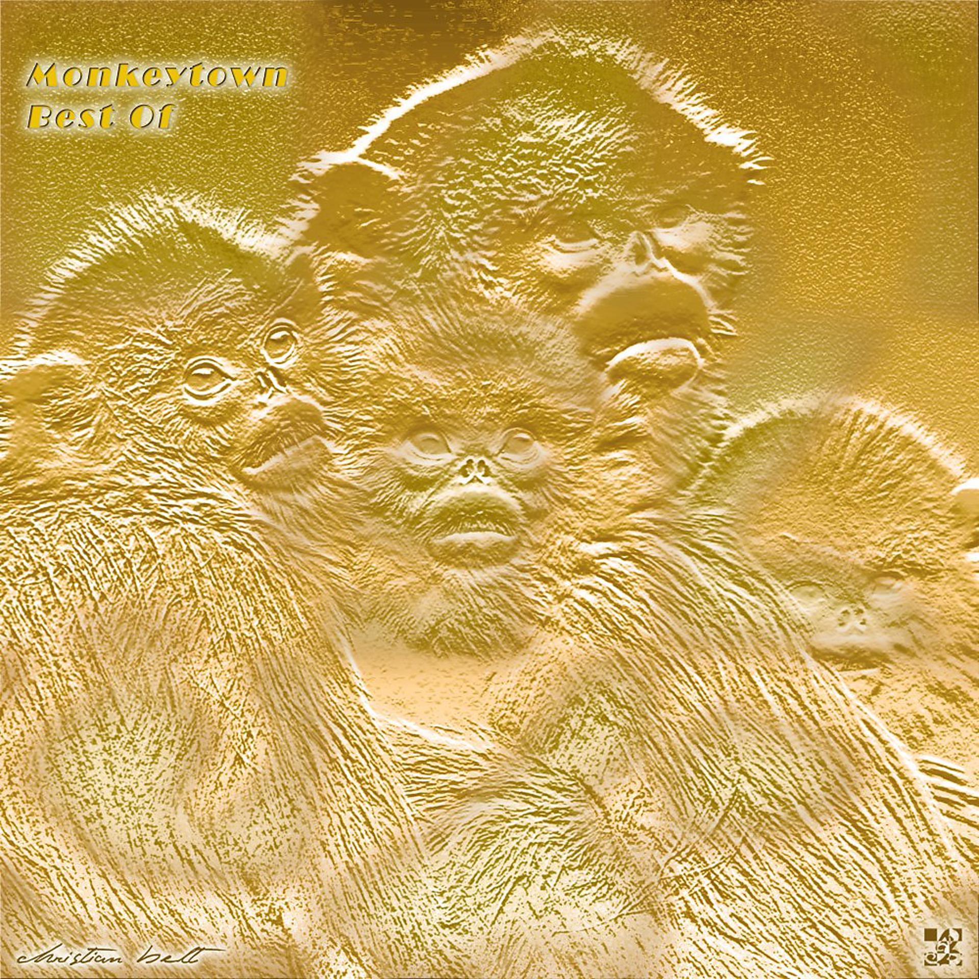 Постер альбома Monkeytown Best Of (Radio Edit Remastered 2022)