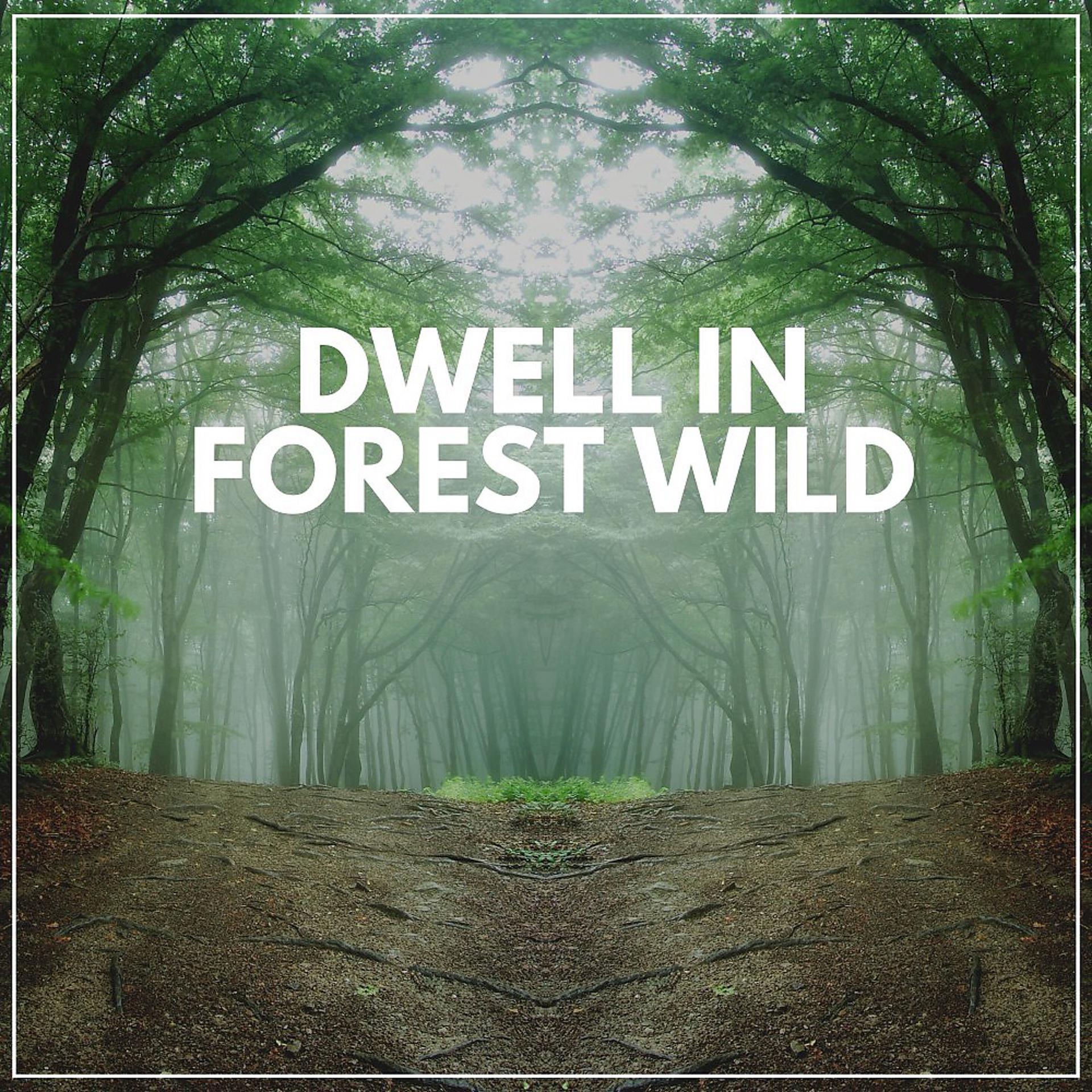 Постер альбома Dwell in Forest Wild