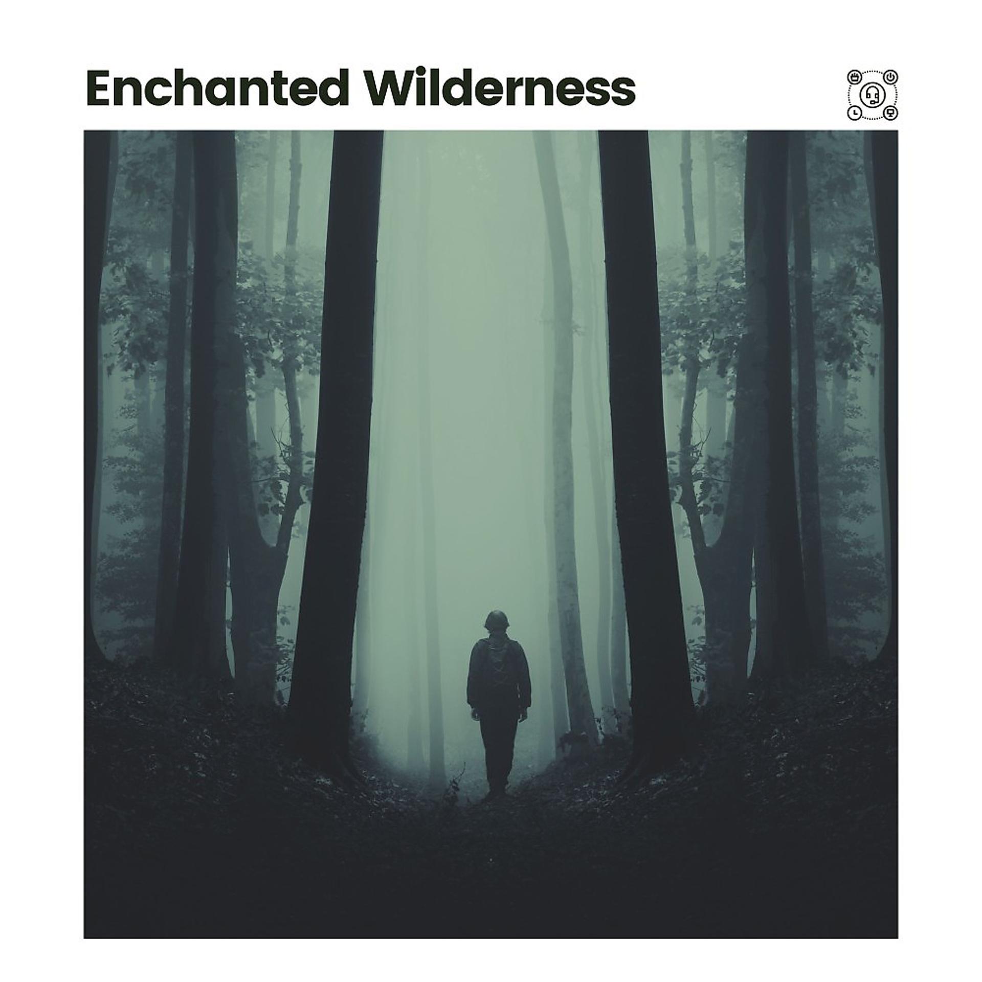 Постер альбома Enchated Wilderness