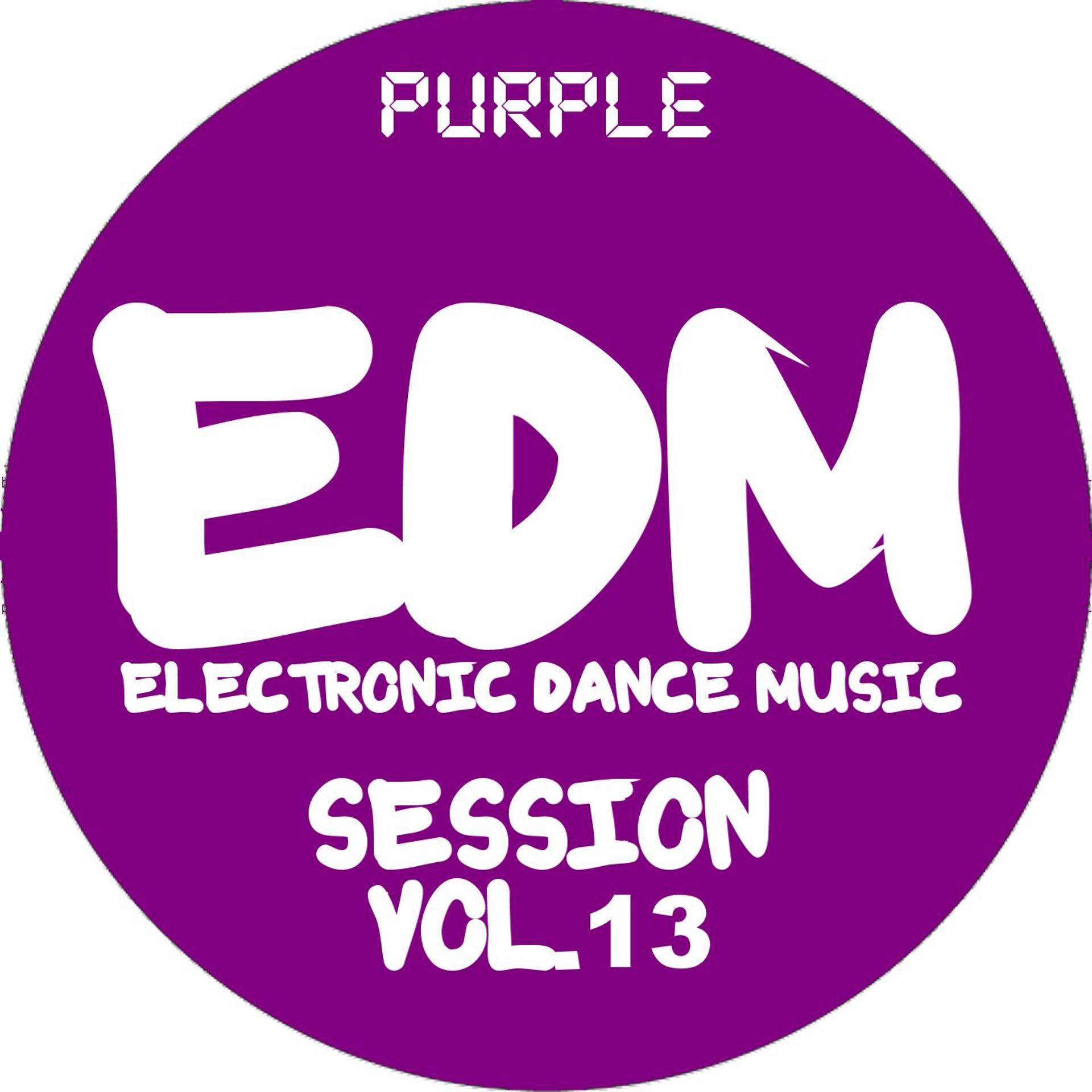 Постер альбома EDM Electronic Dance Music Session, Vol. 13
