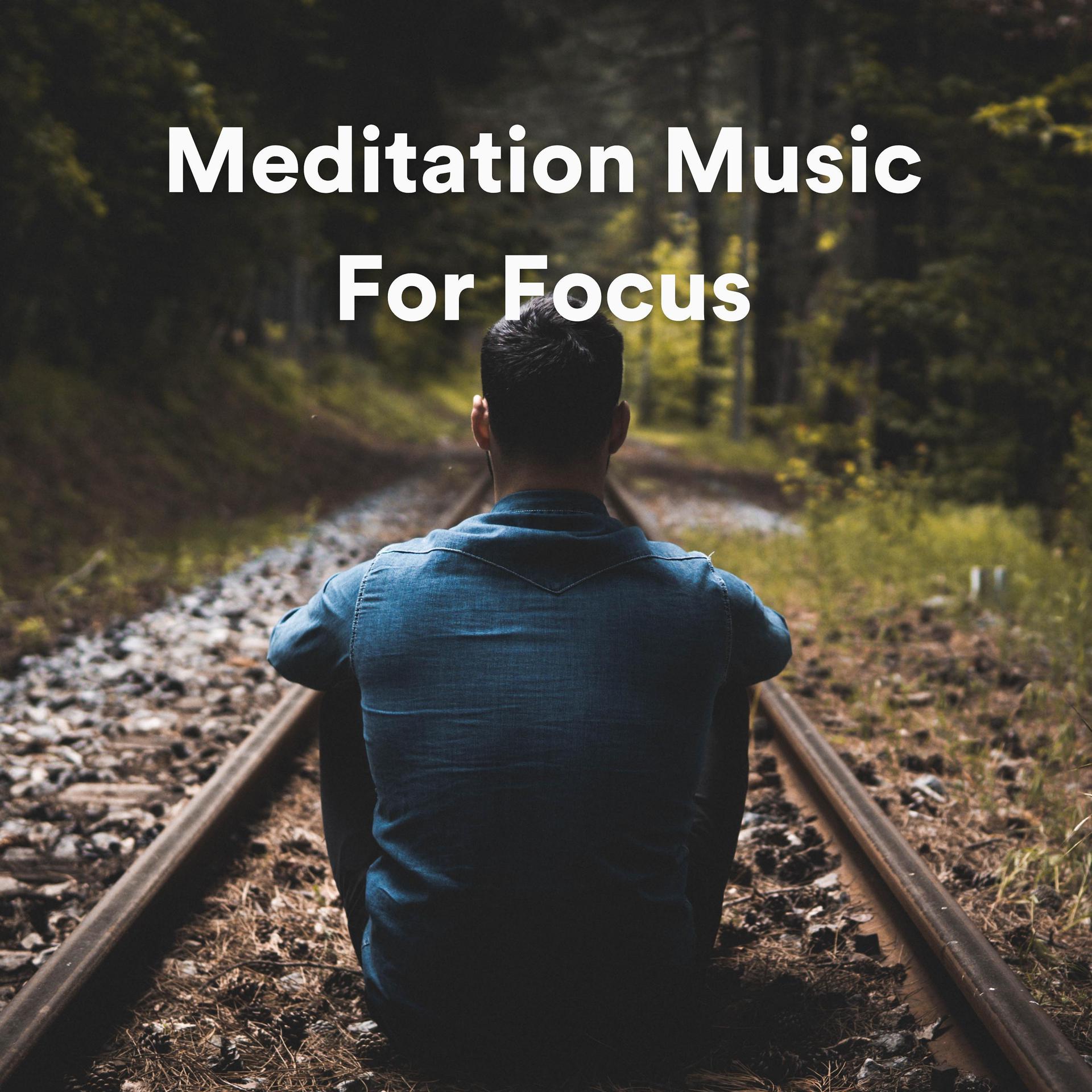 Постер альбома Meditation Music For Focus