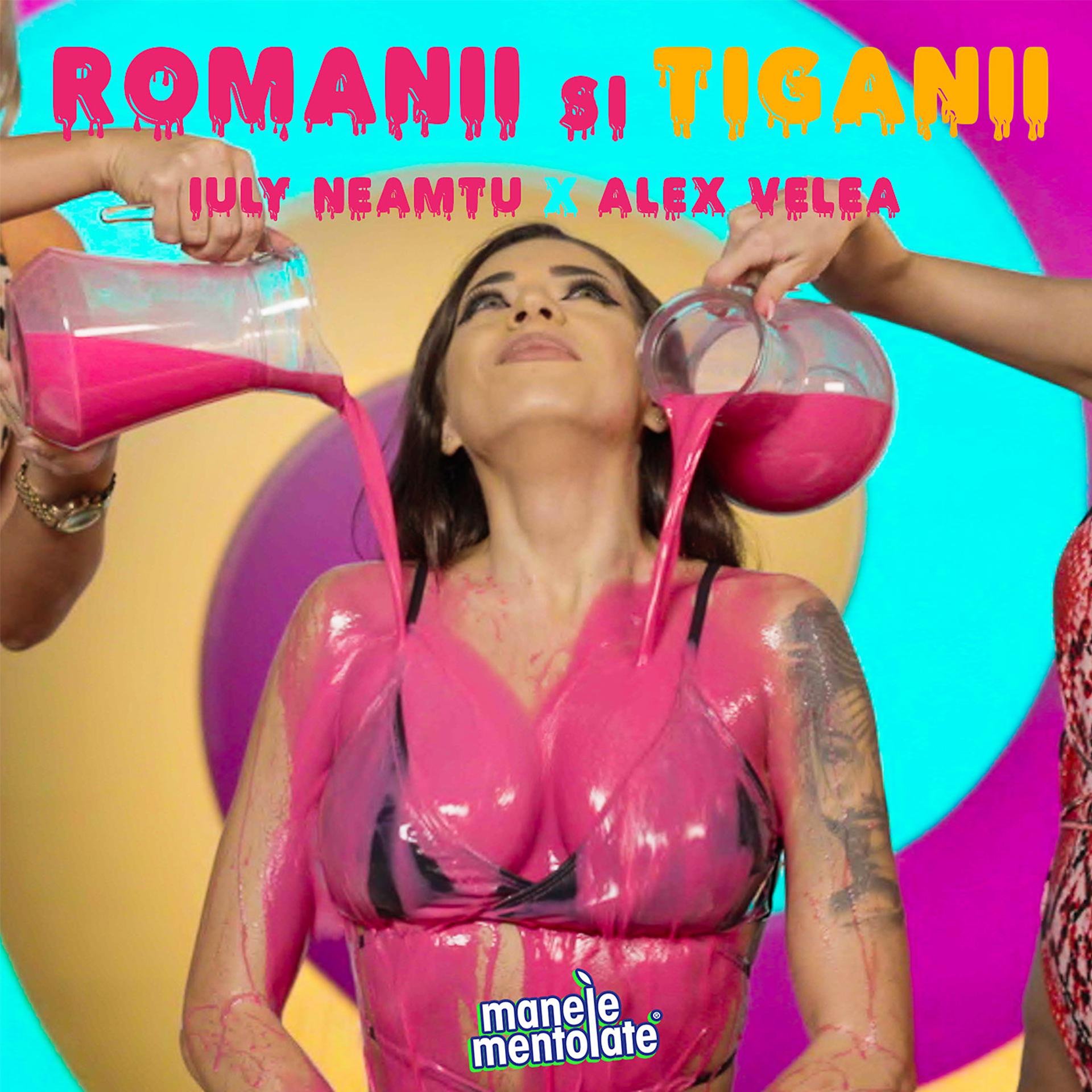 Постер альбома Românii și Țiganii