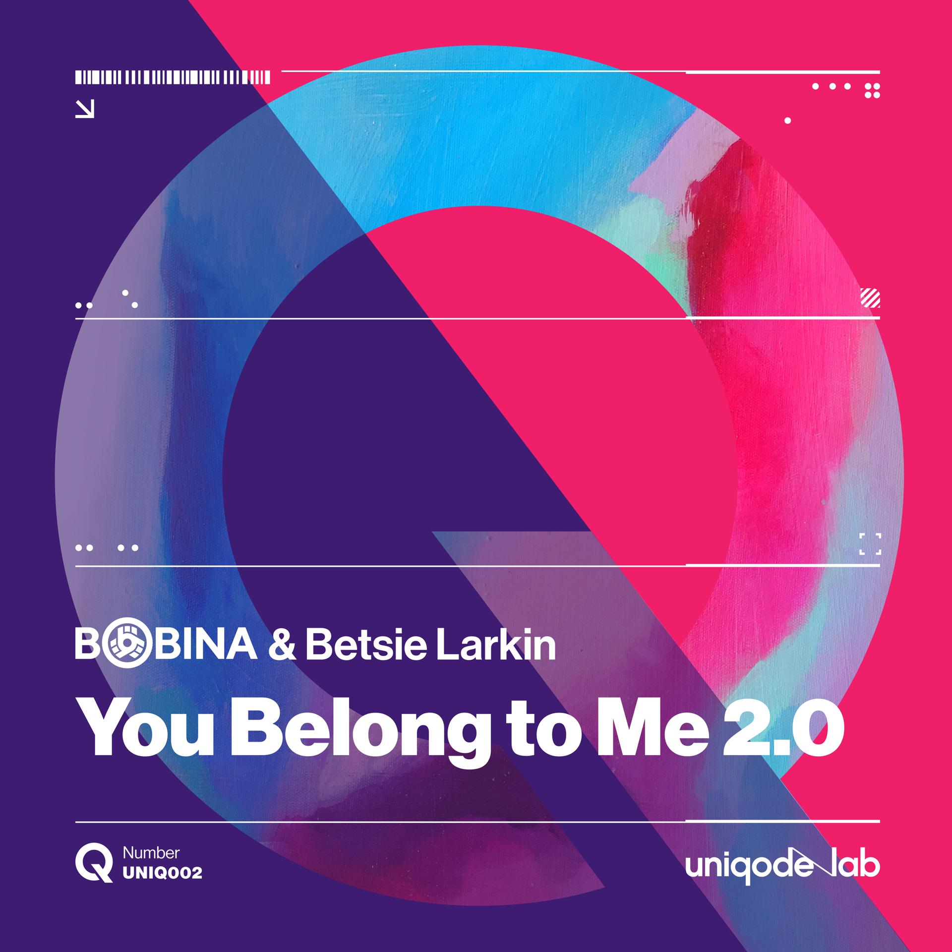 Постер альбома You Belong to Me 2.0