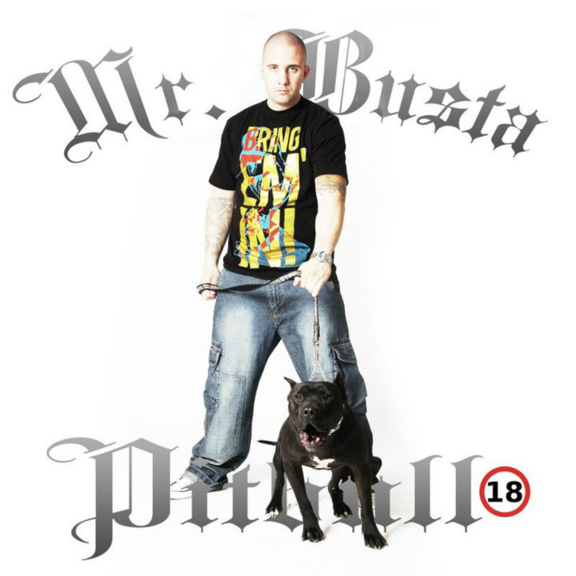 Постер альбома Pitbull