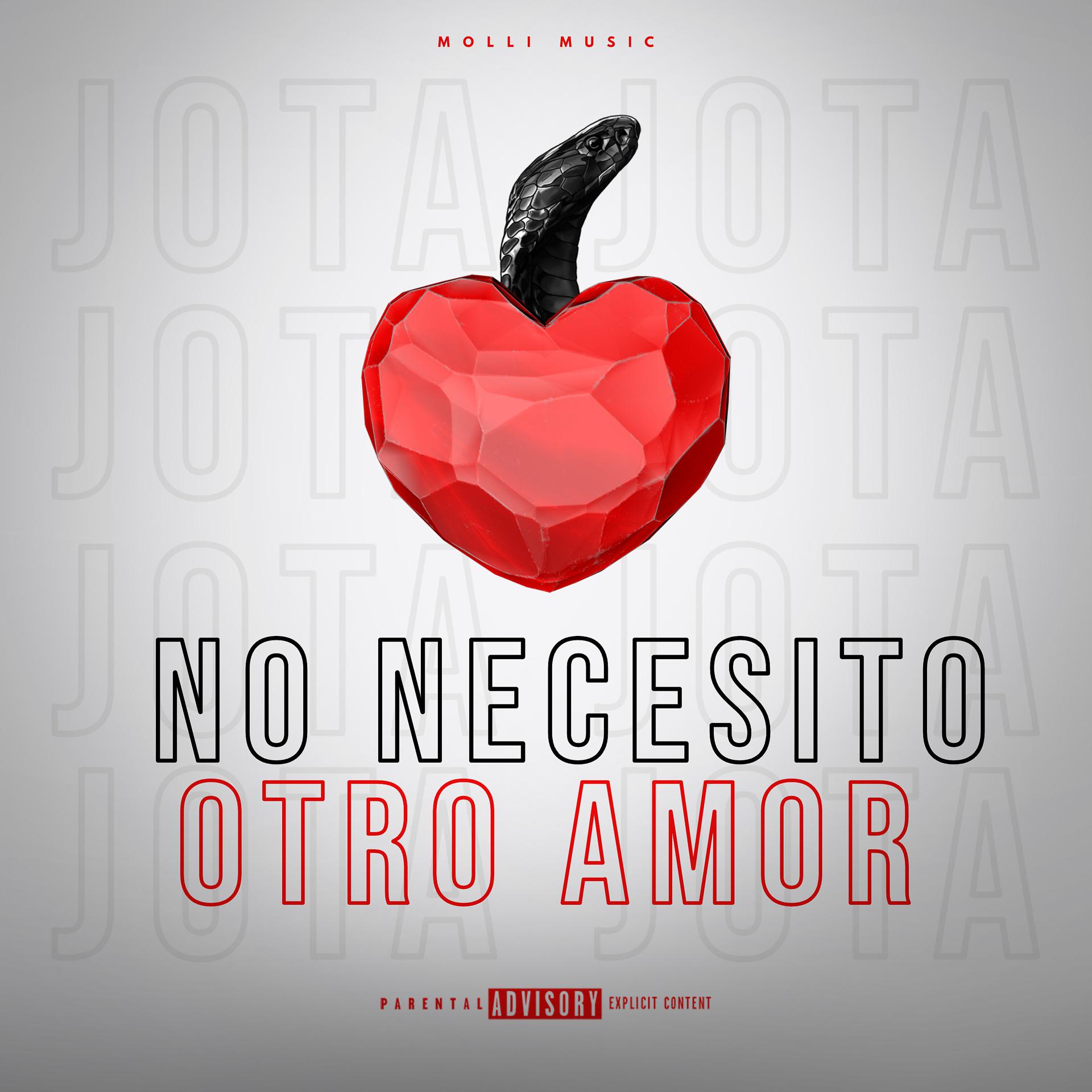 Постер альбома No Necesito Otro Amor