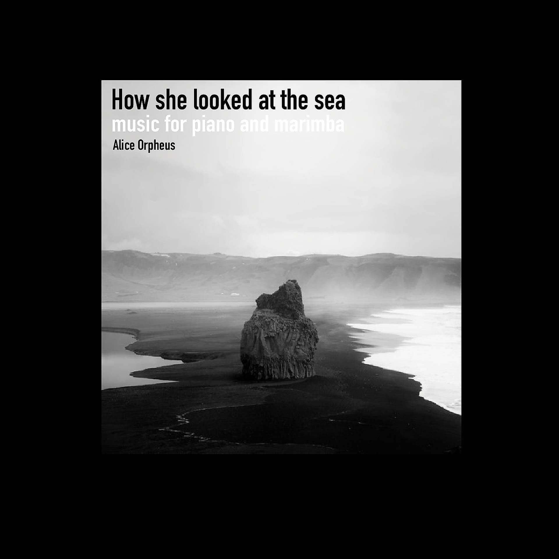 Постер альбома How She Looked at the Sea