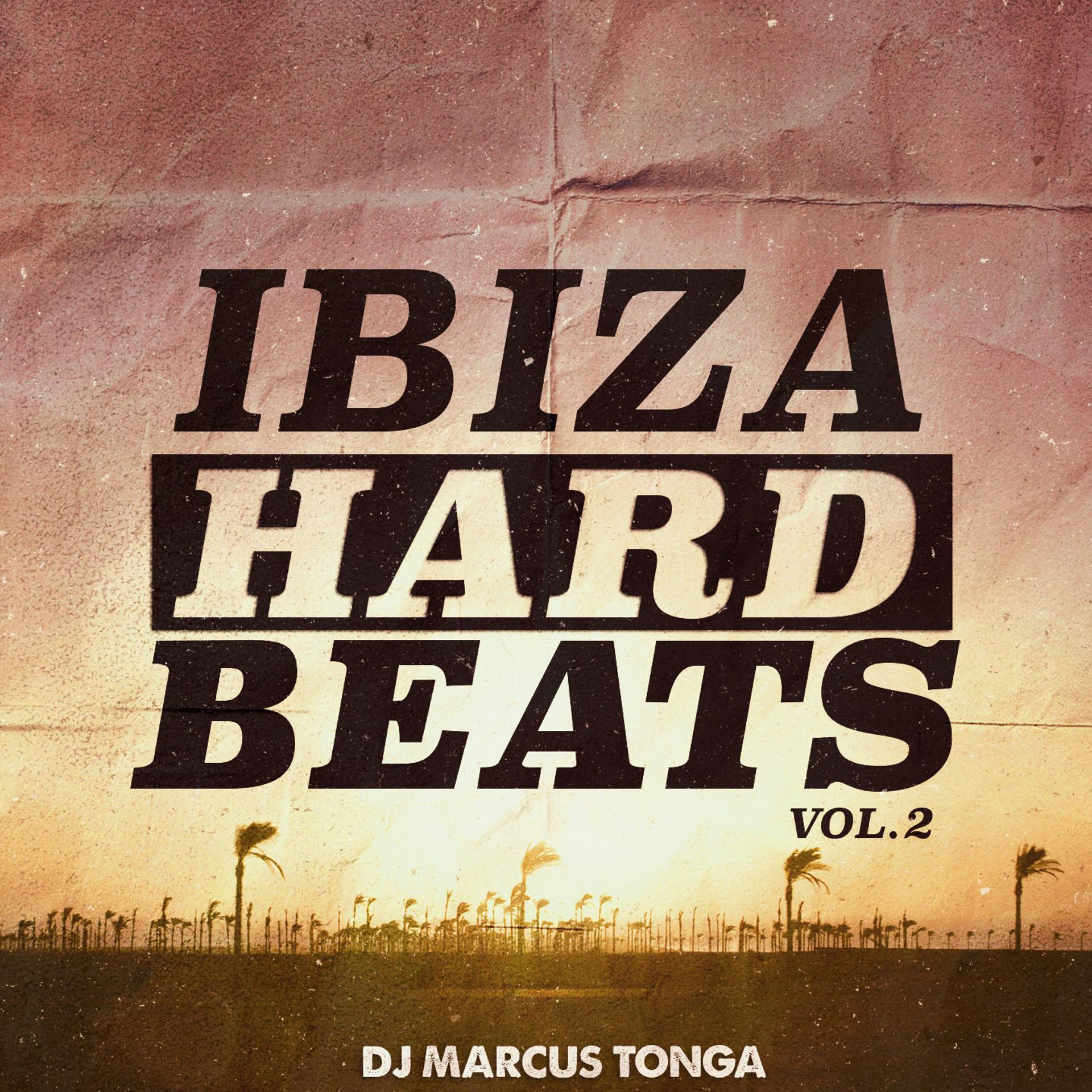 Постер альбома Ibiza Hard Beats, Vol. 2