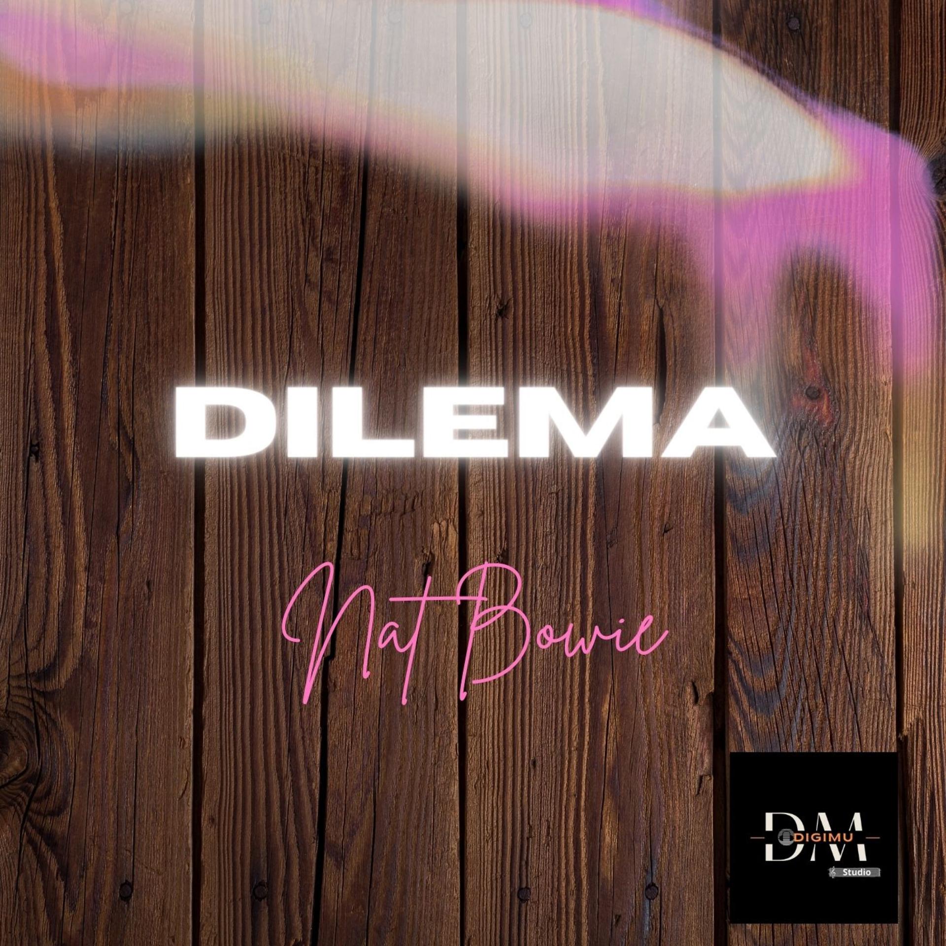 Постер альбома DILEMA