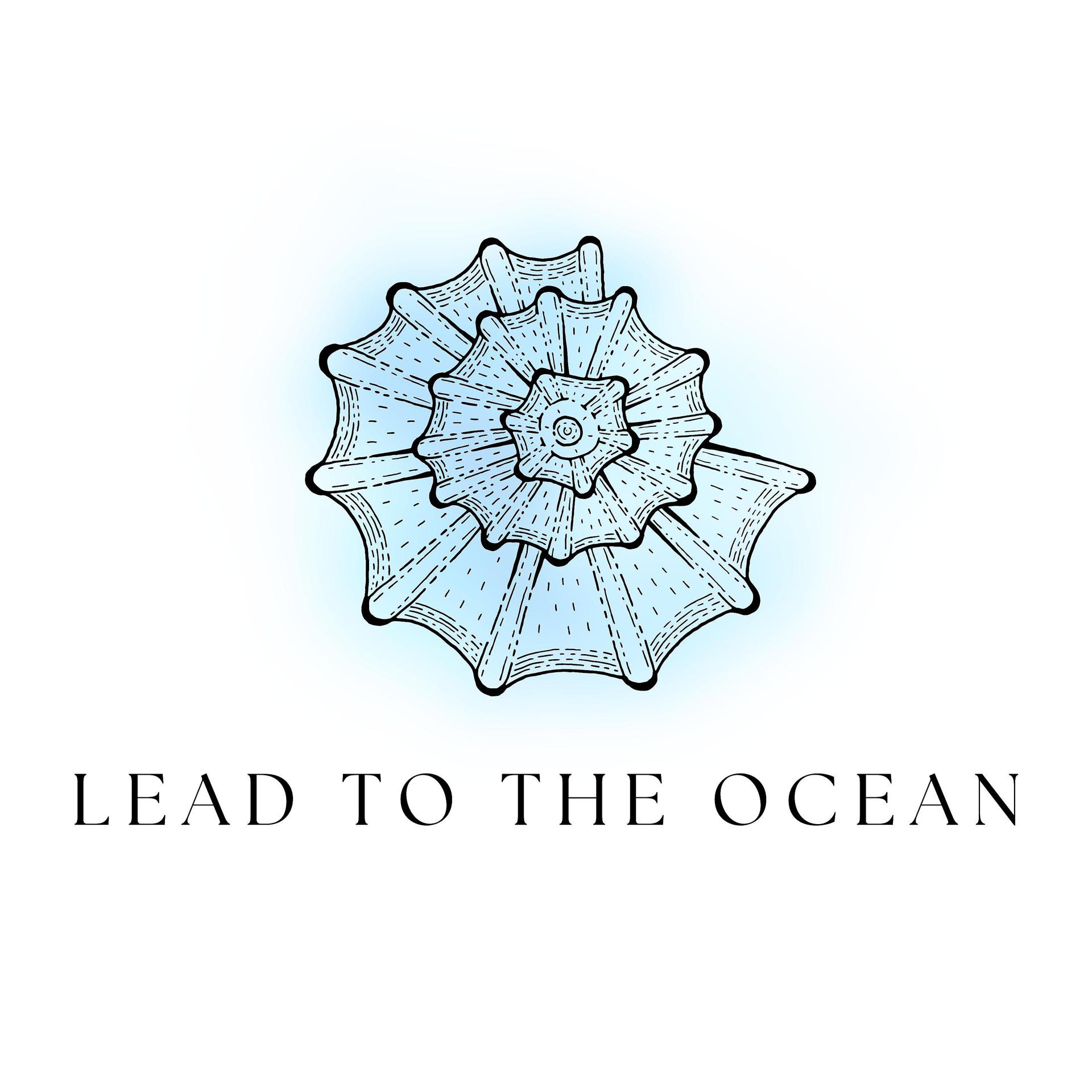 Постер альбома Lead To The Ocean